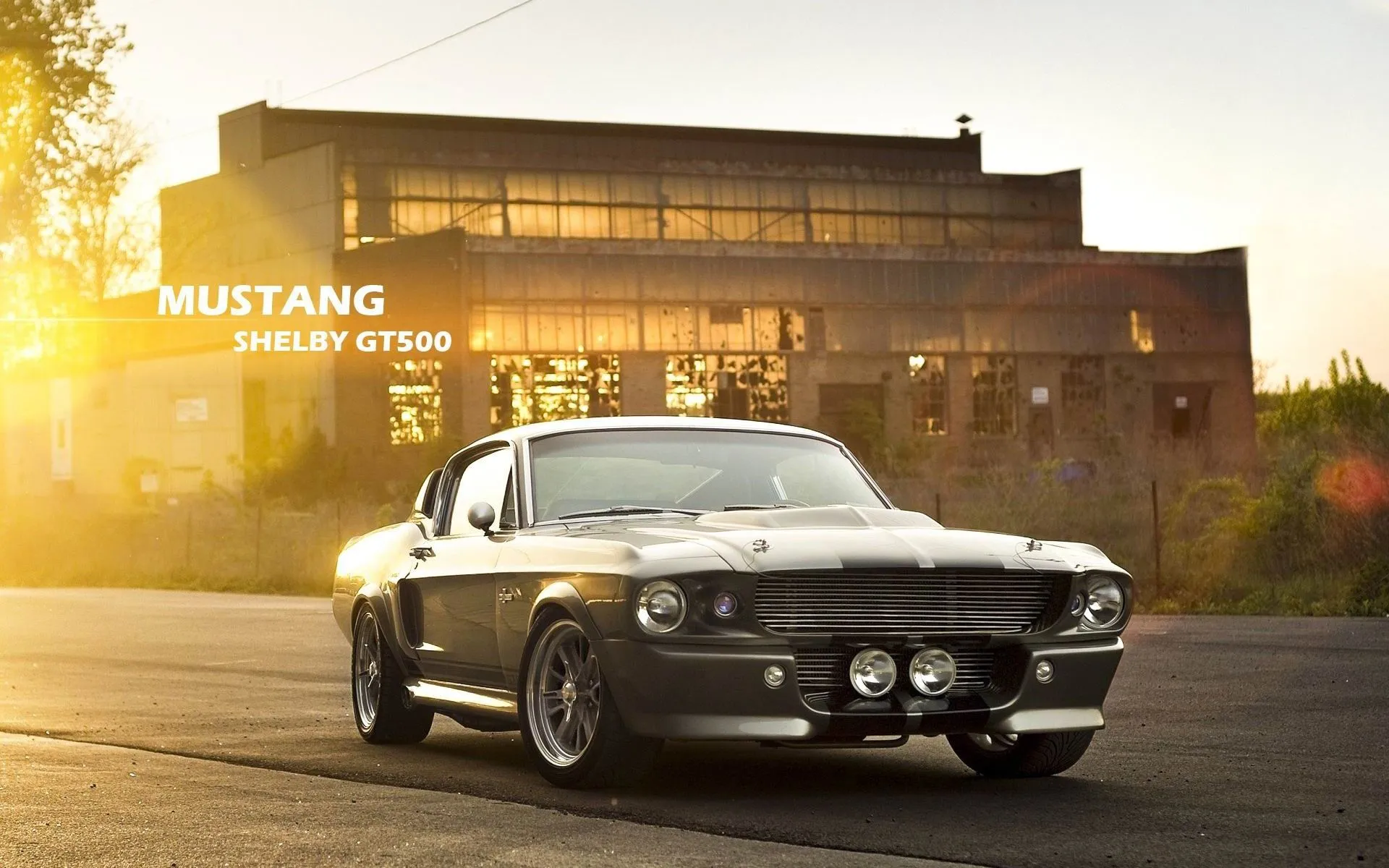 Mustang Shelby Gt500 High Quality Wallpaper