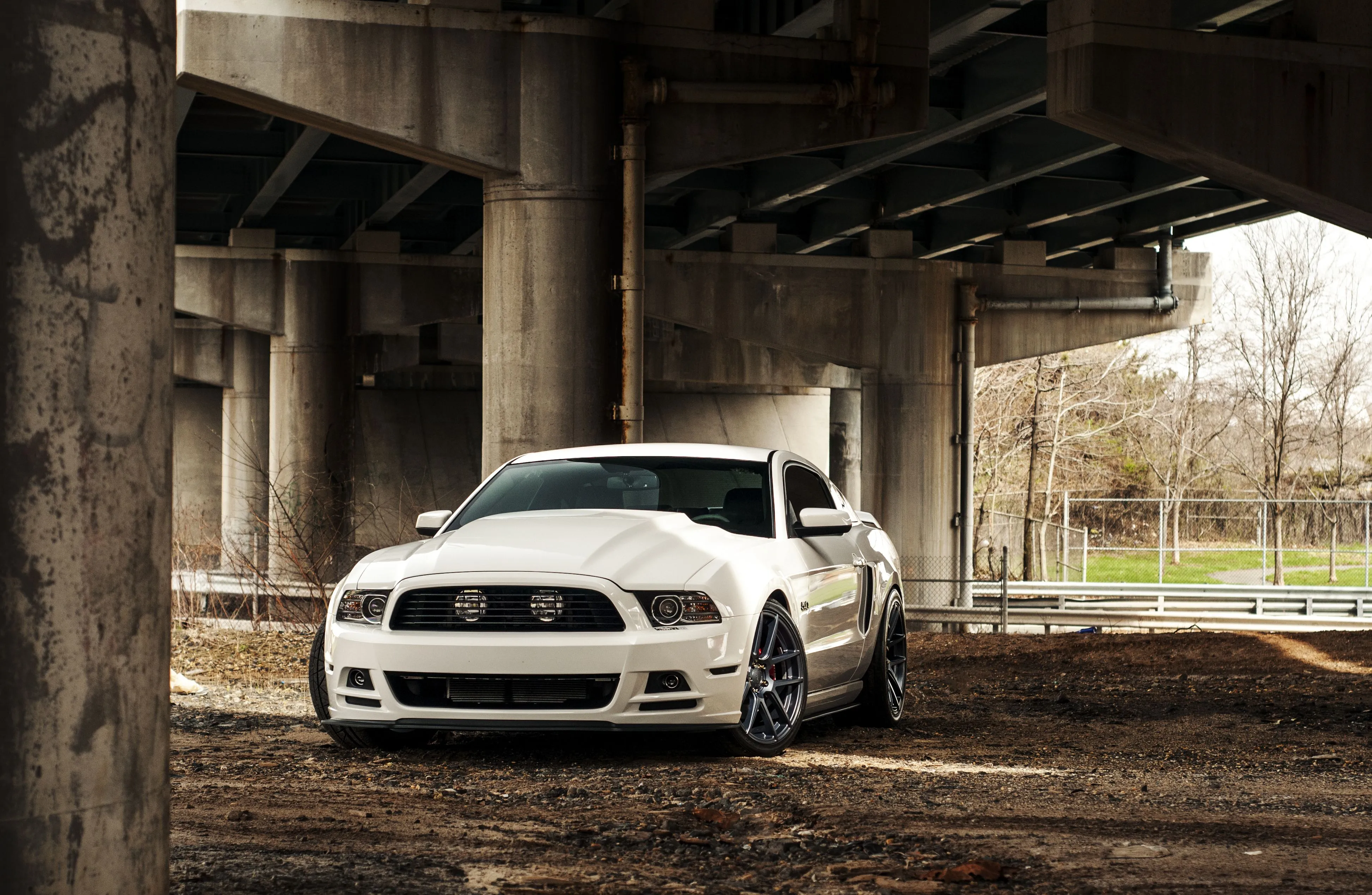 Desktop wallpaper: Ford Mustang, Ford, Vehicles 4K free download for PC. 335701