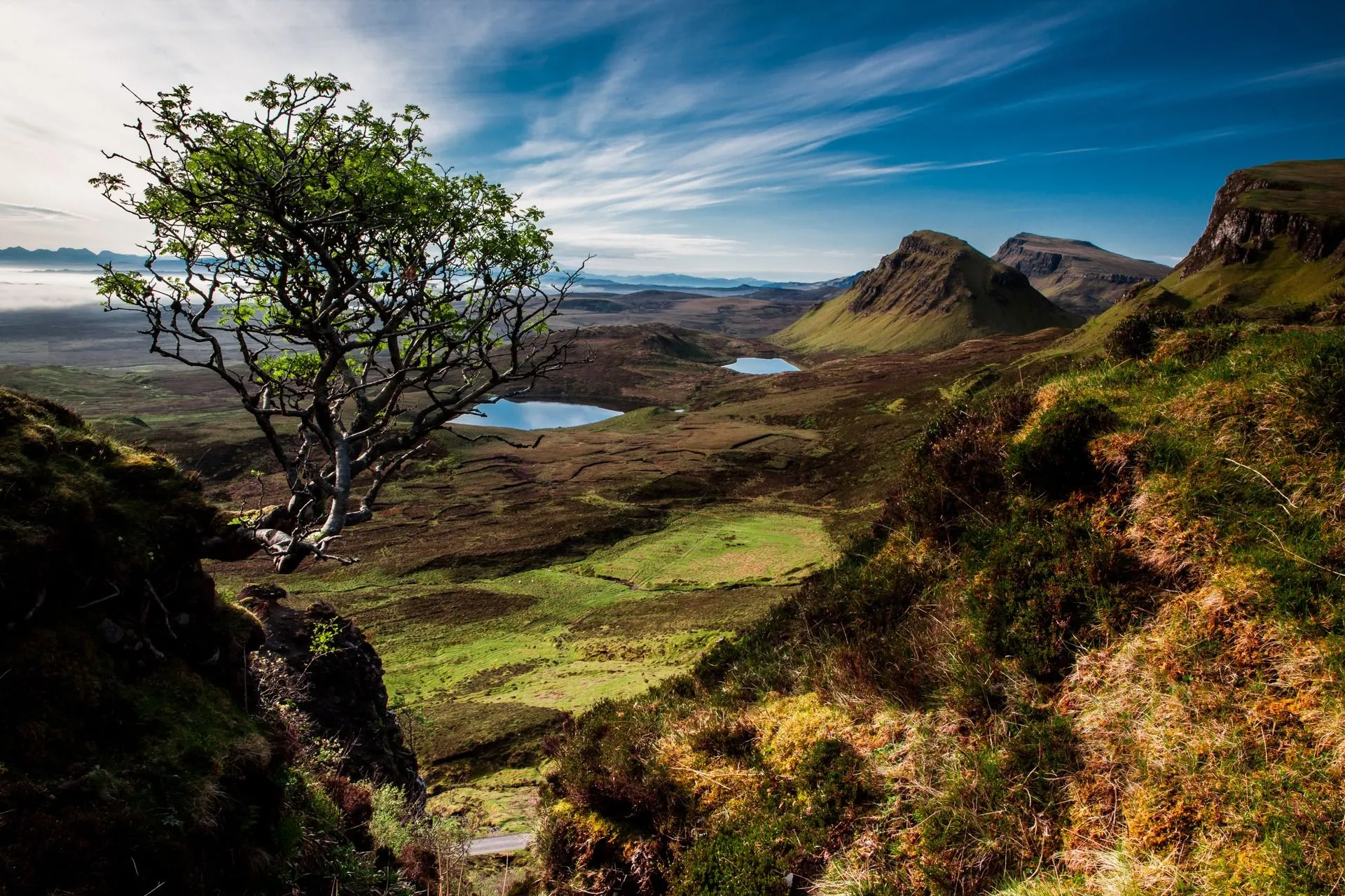 Desktop wallpaper: Scotland, Lonely Tree, Earth, Landscape, Horizon, Lake, Mountain, Nature 4K free download for PC. 740062