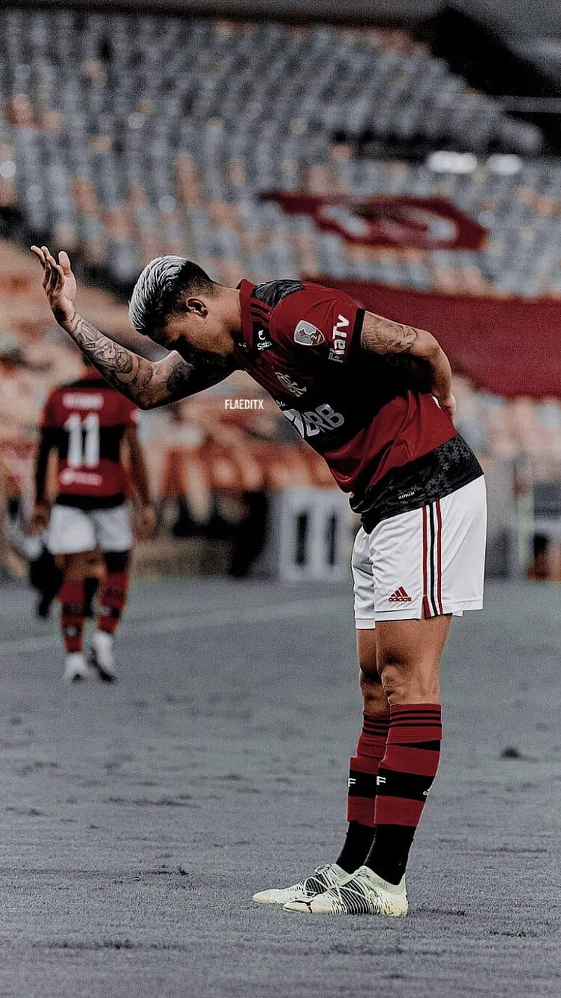 Flamengo, pedro, HD phone wallpaper