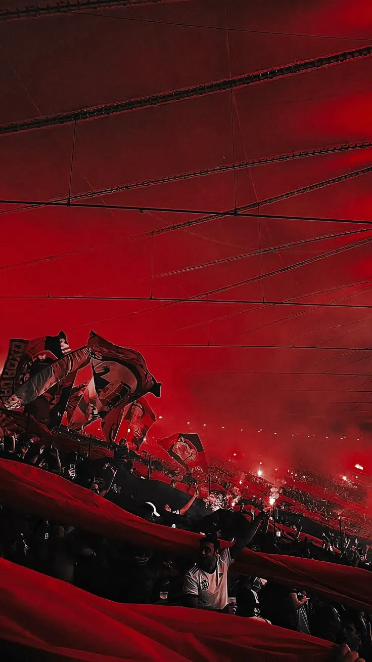 Flamengo Campeão Brasileiro Papel de Parede Wallpaper para PC e Celular