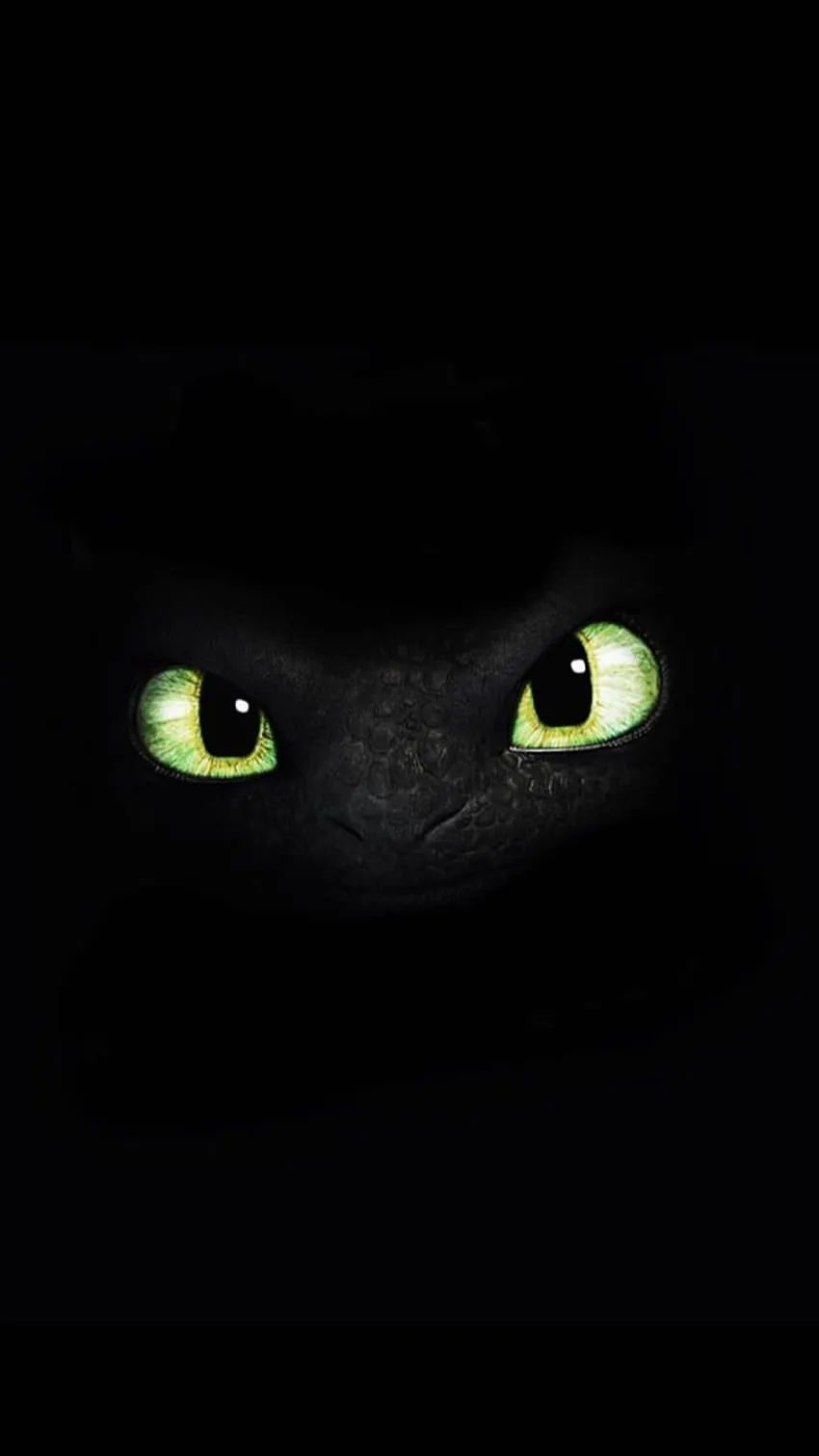 Toothless HD wallpaper