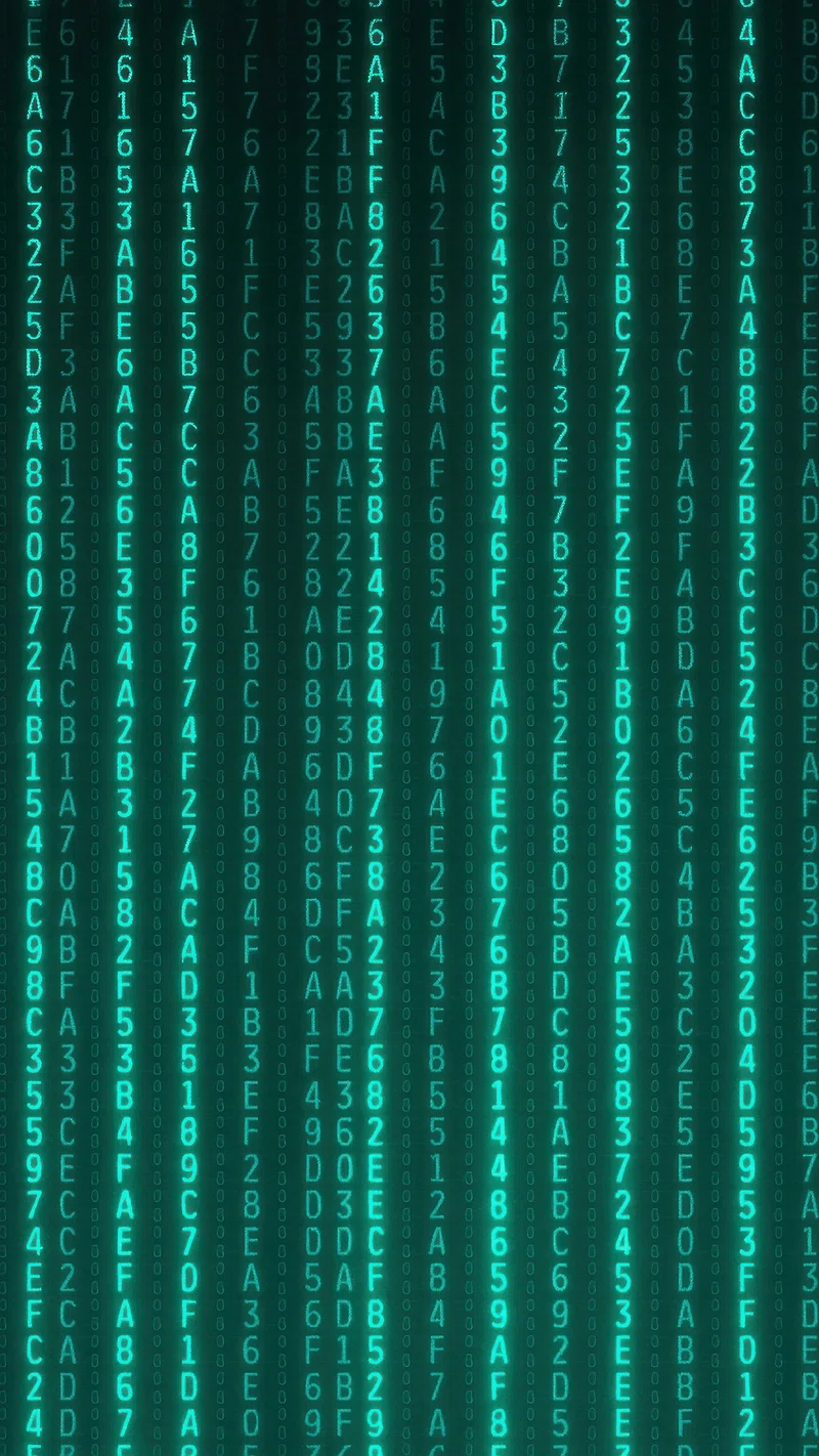 Binary code digital matrix wallpaper. Free Photo Illustration
