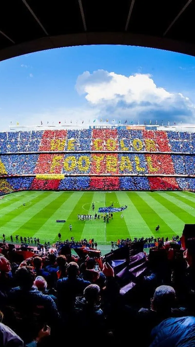 Barcelona Tifo, we, color, football, camp, barca, stadium, 2018, writing, nou, HD phone wallpaper