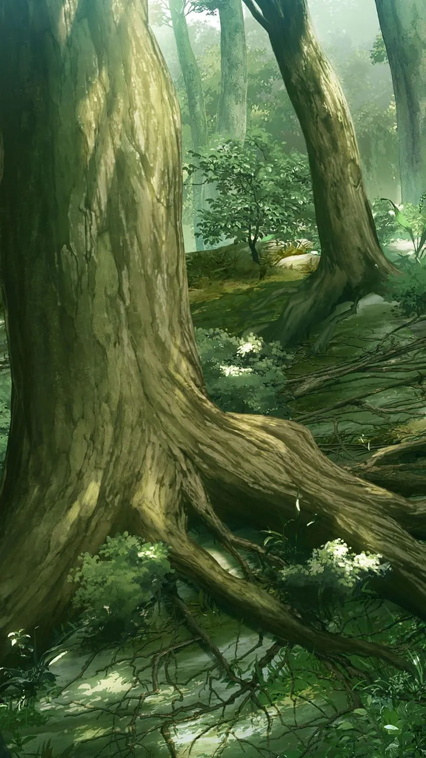 Anime forest scenery HD wallpaper