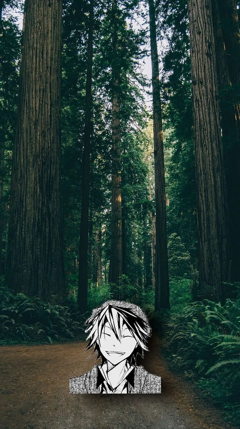 Ranpo Edogawa, anime, bungou stray dogs, ranpo, HD phone wallpaper