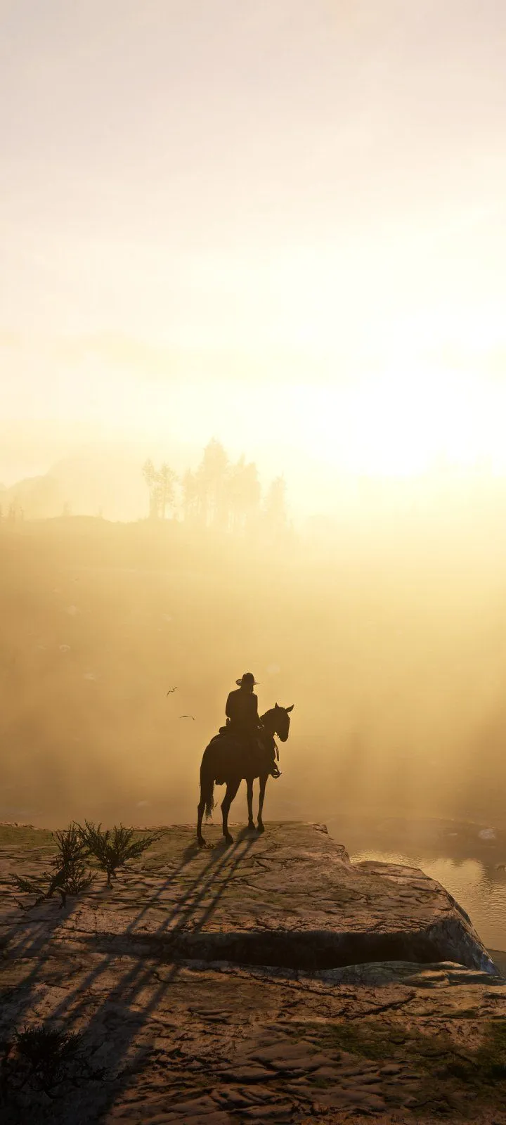 Red Dead Redemption 2 Phone Wallpaper and iPhone Background: Free HD Download