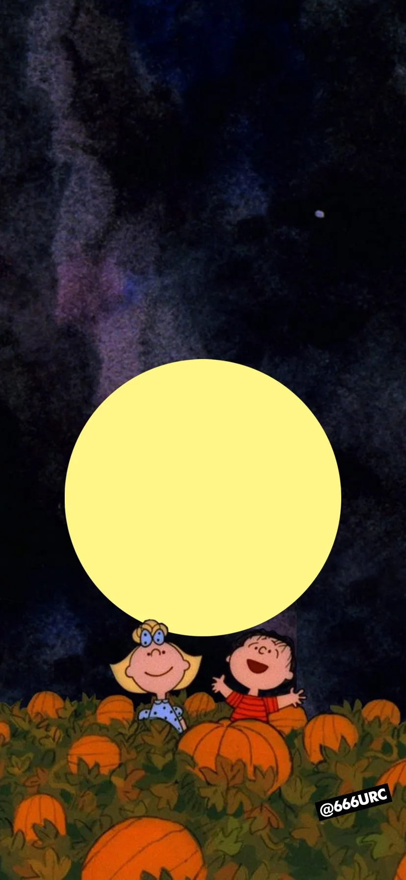 mobile phone wallpaper and lock screen wallpaper!