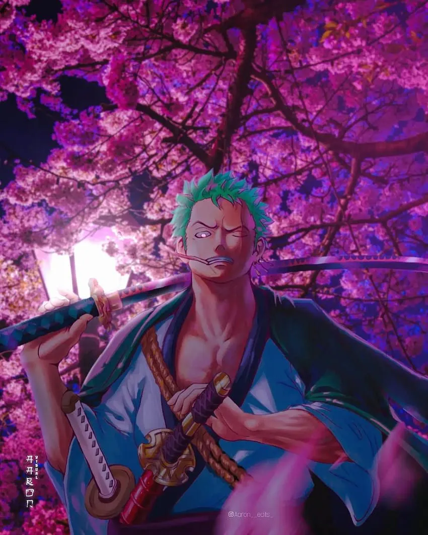 Zoro, Anime, Roronoa zoro, Monkey D Luffy, Sanji Vinsmoke, One Piece HD phone wallpaper