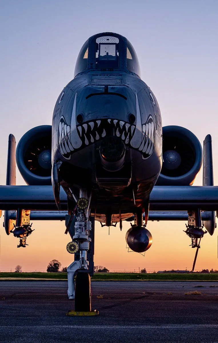 As Promised Here's Some A 10 Phone Wallpaper For You Guys To Use. Let Me Know What You Think. How Bout Some US Navy Growlers Next? #aviation #A10 #aviationlovers #warthog #USAF