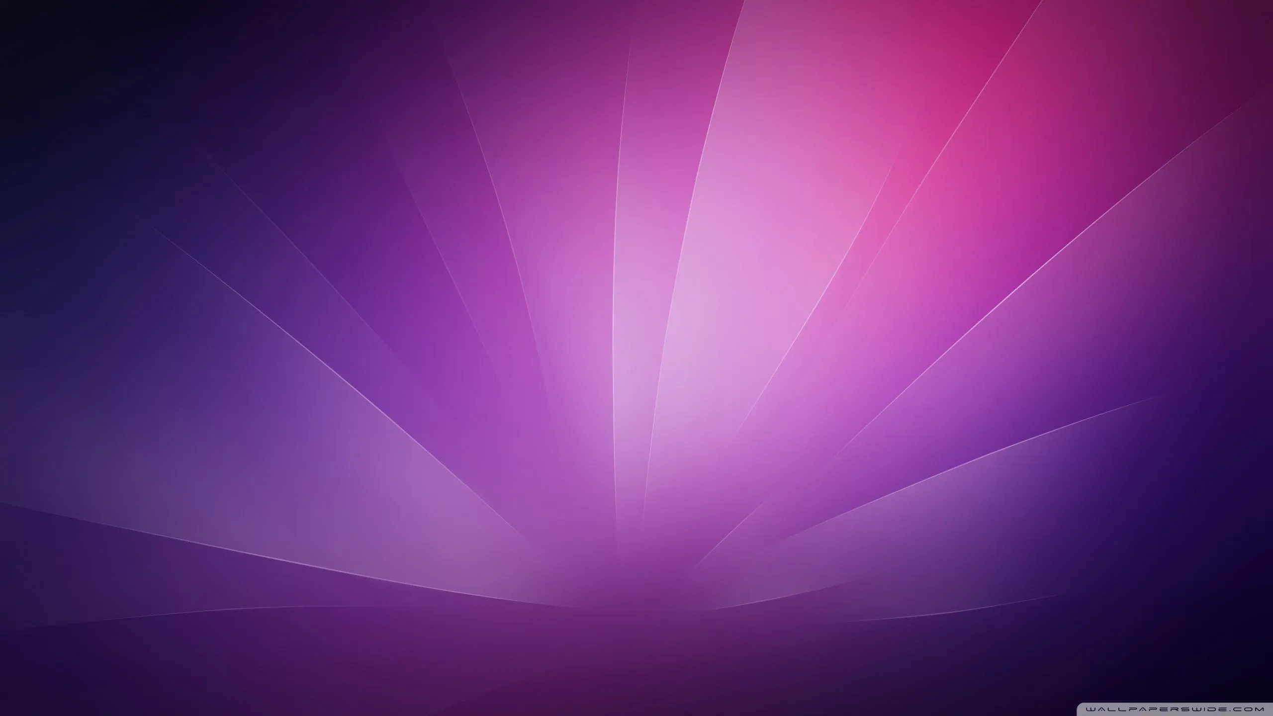 Purple Minimalist Background 4K UHD Wallpaper for UltraHD Desktop and TV, Smartphone and Tablet Devices