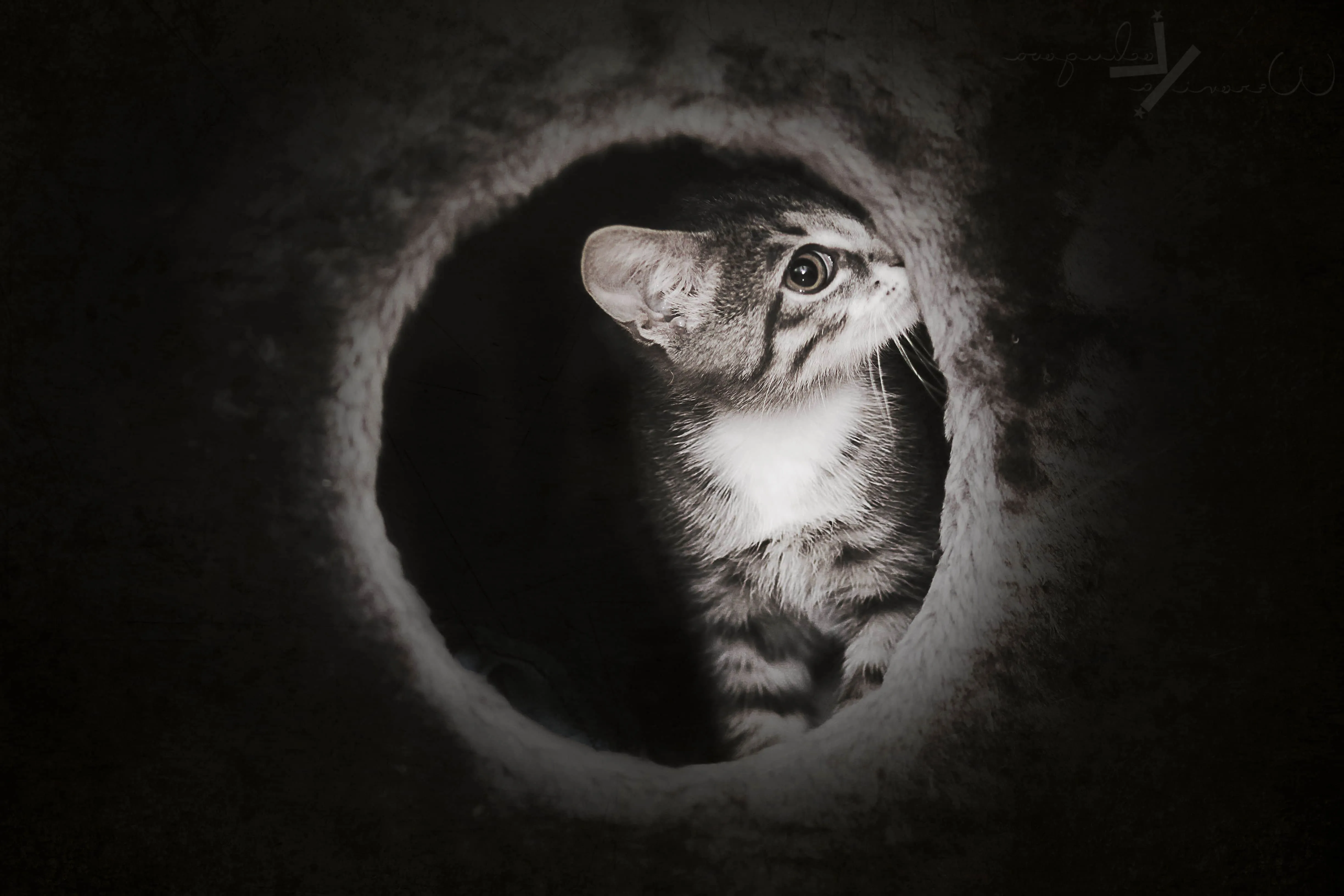 Cute Dark Wallpaper HD