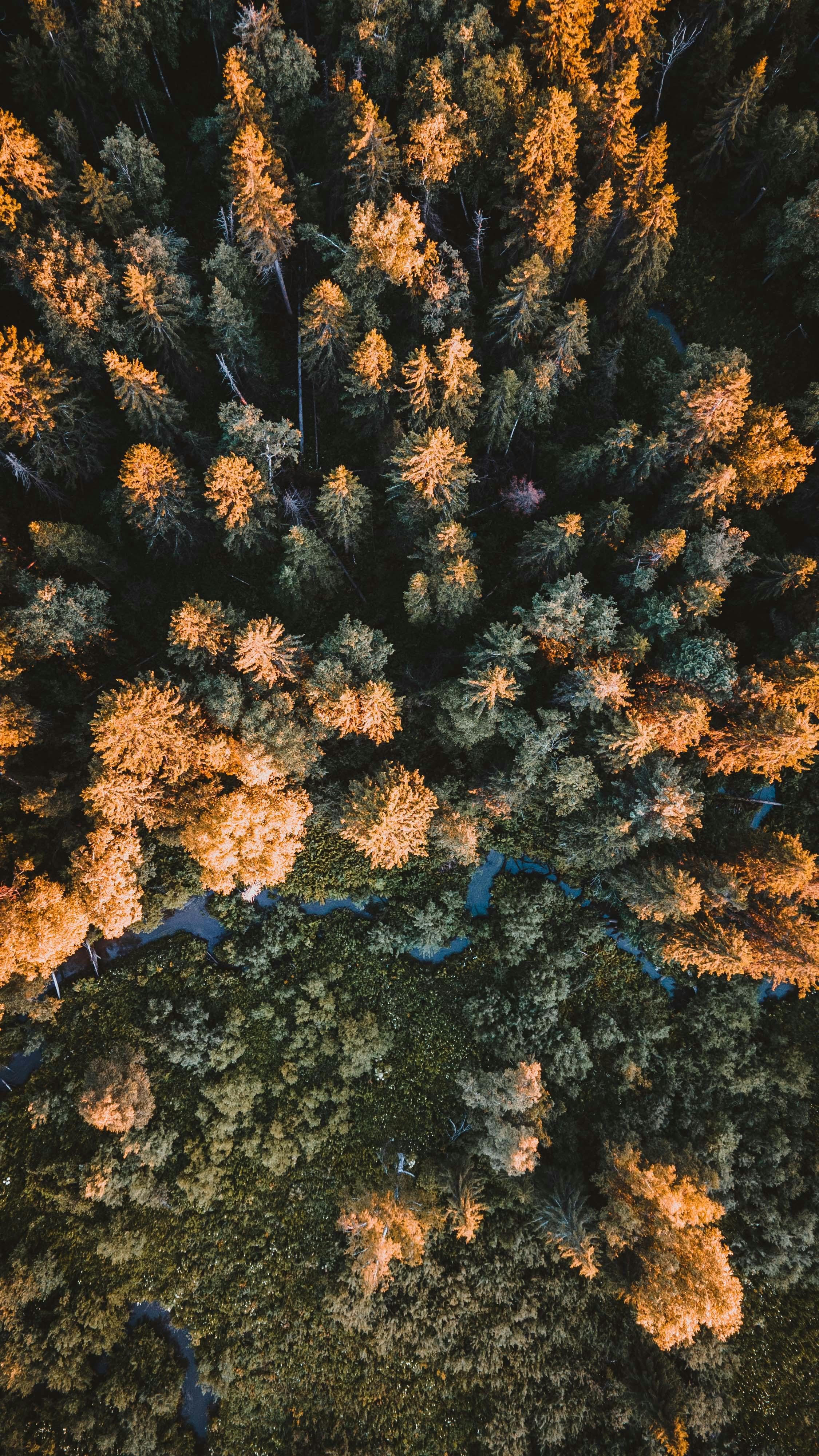 6k Wallpaper Photo, Download The BEST Free 6k Wallpaper & HD Image