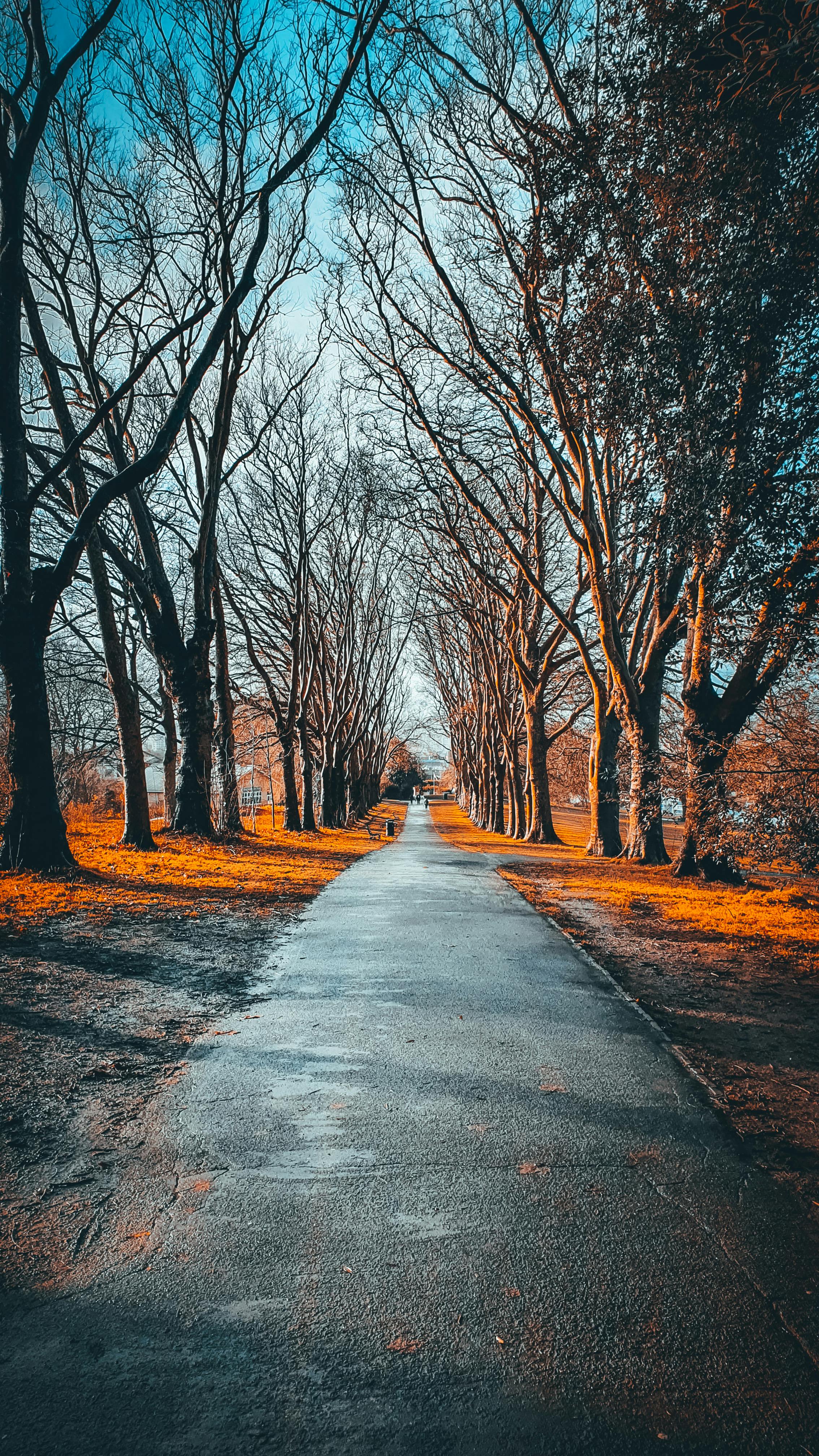 6k Wallpaper Photo, Download The BEST Free 6k Wallpaper & HD Image