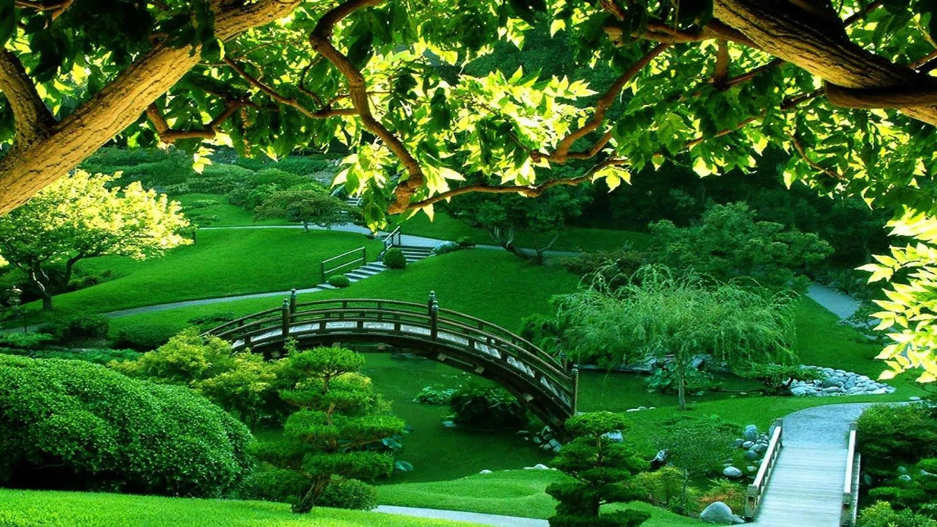 Mind Relaxing Wallpaper