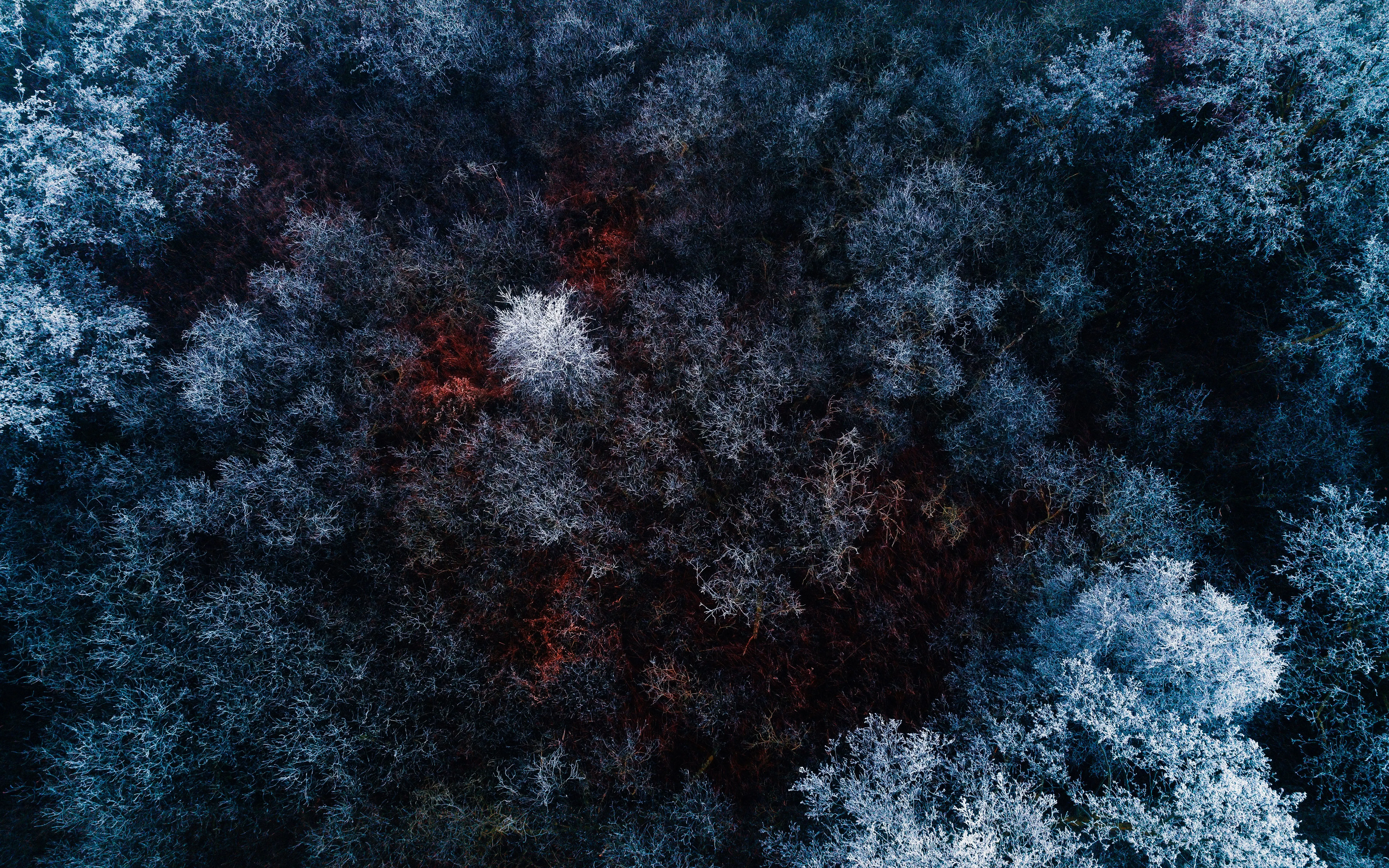 Winter forest Wallpaper 4K, Aerial view, Snow covered