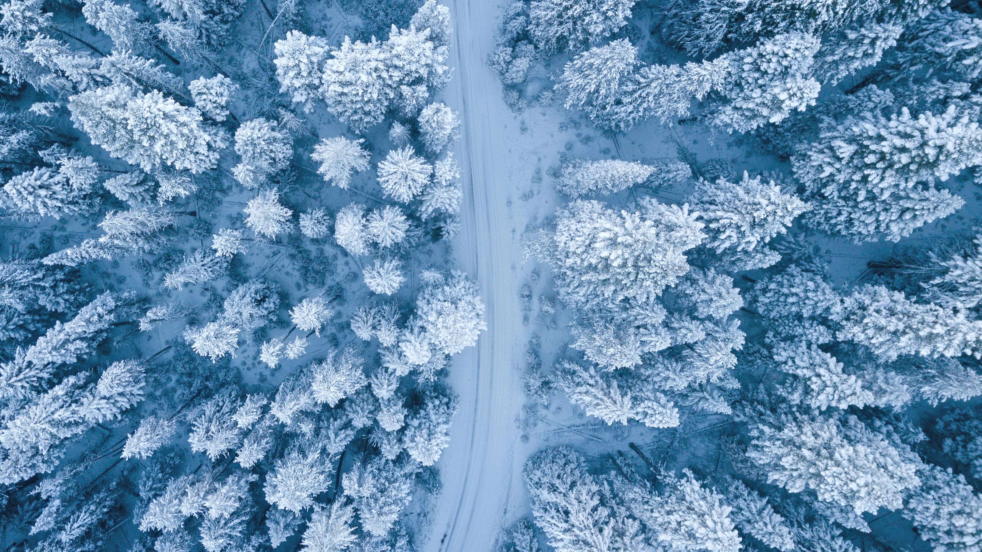 Aerial Photography of Snow Covered Trees · Free