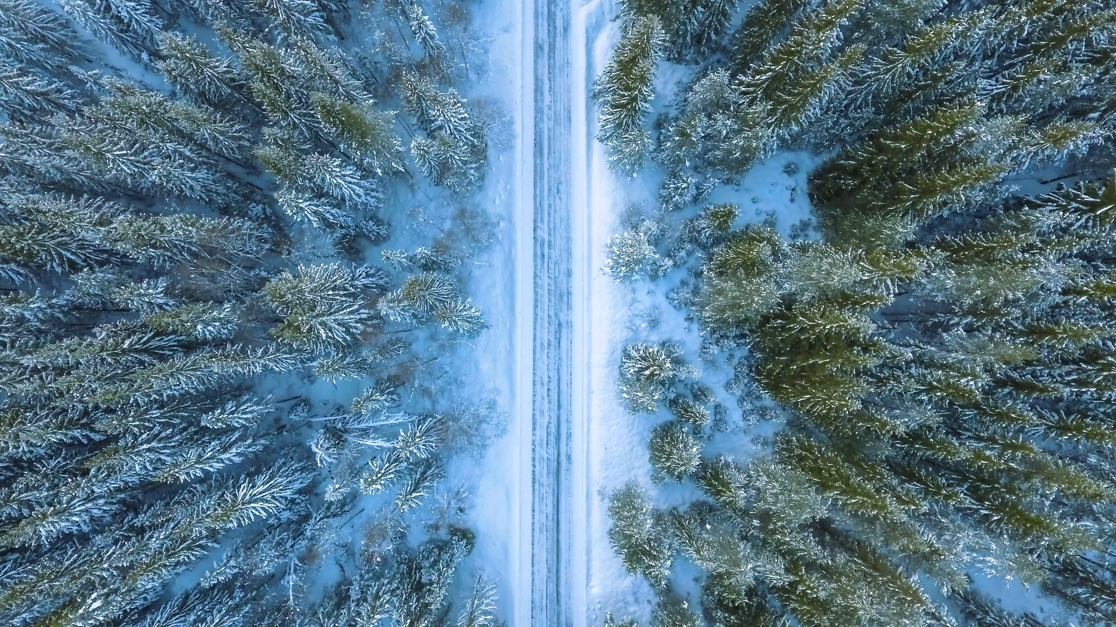 Aerial view of forest in winter Wallpaper 4K for Desktop