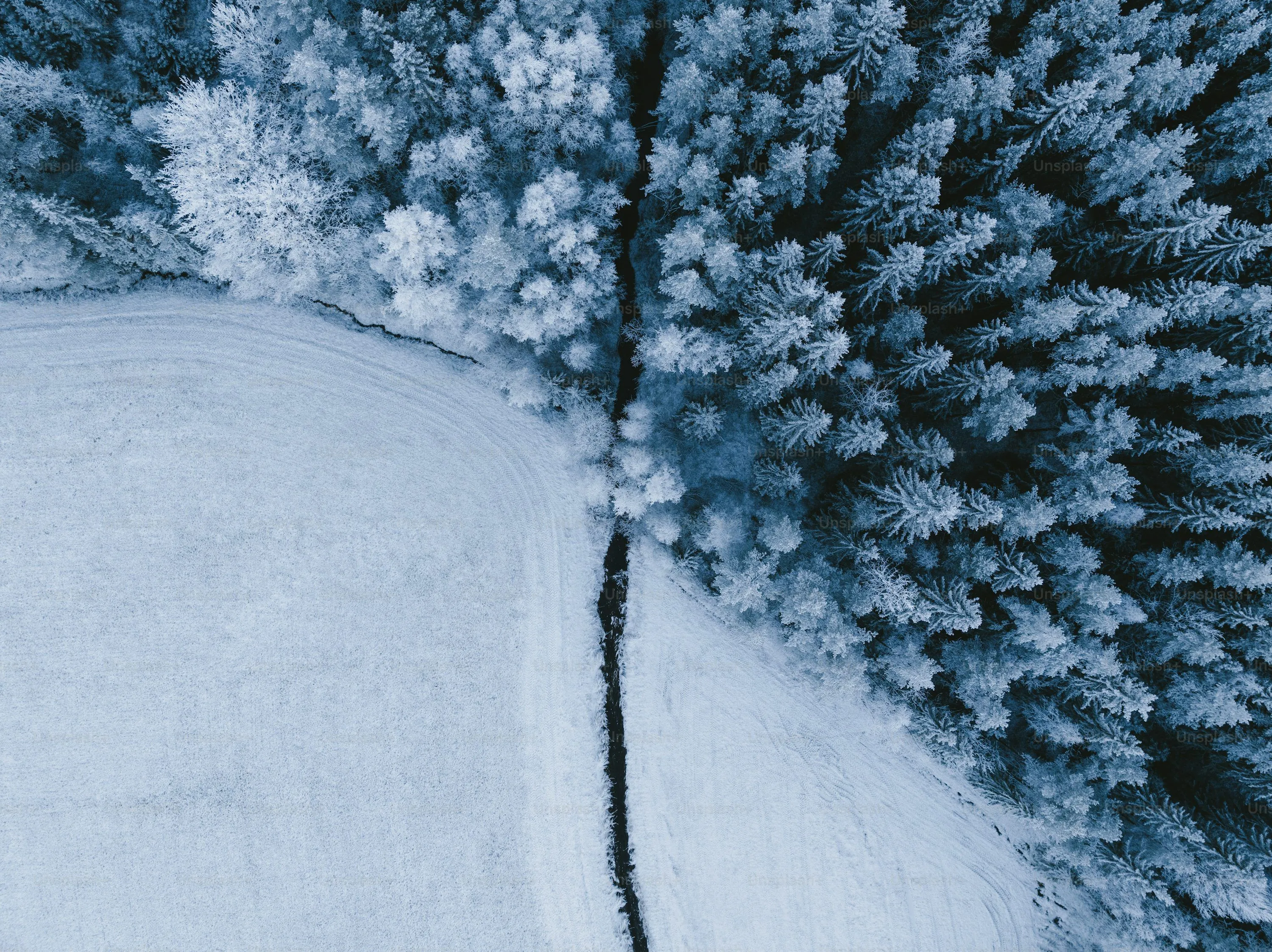 An aerial view of a snow covered forest photo