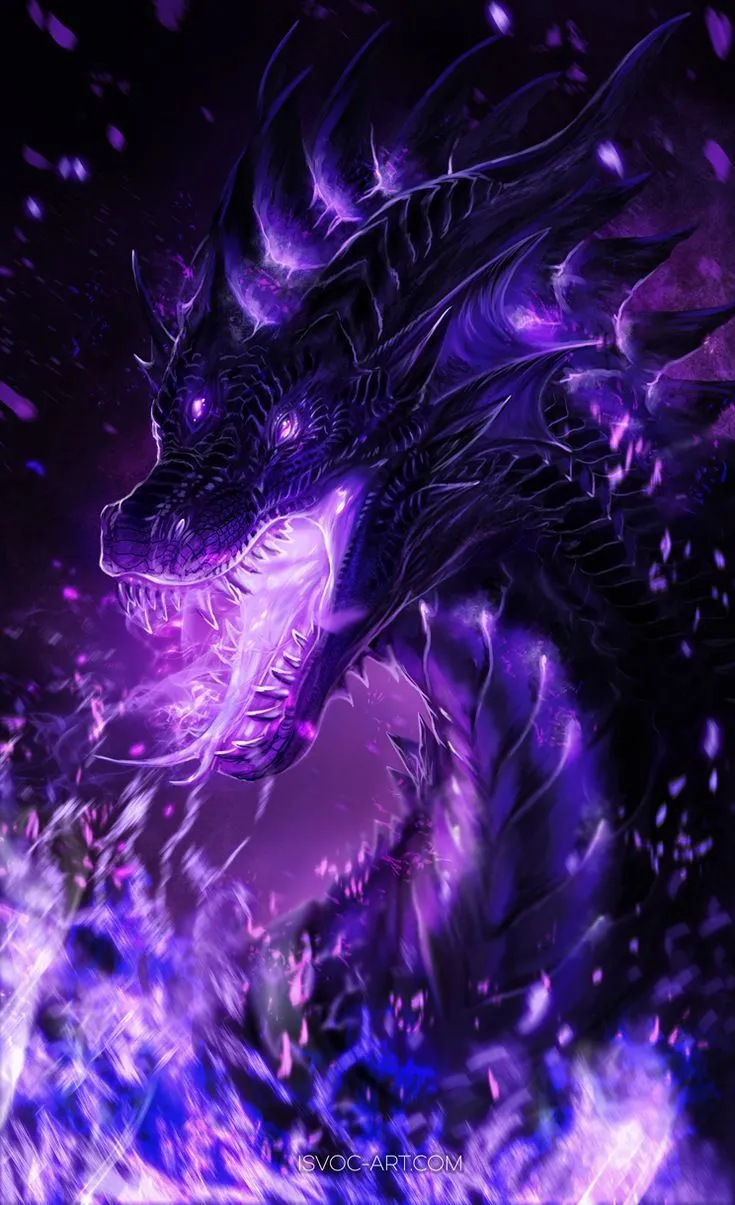 Black Purple Dragon