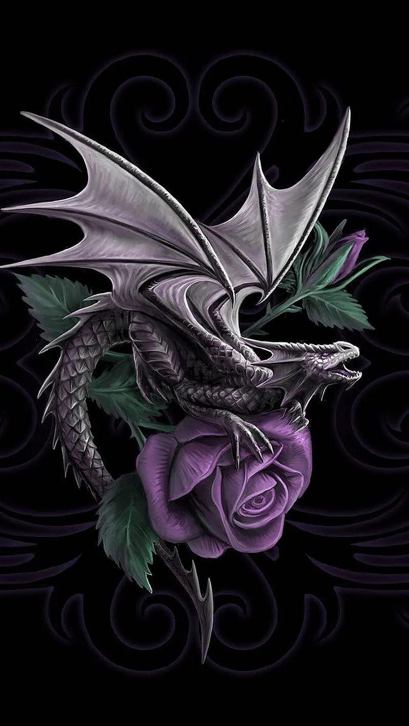Rose dragon, black, dragon, purple rose w/ dragon, rose, HD phone wallpaper