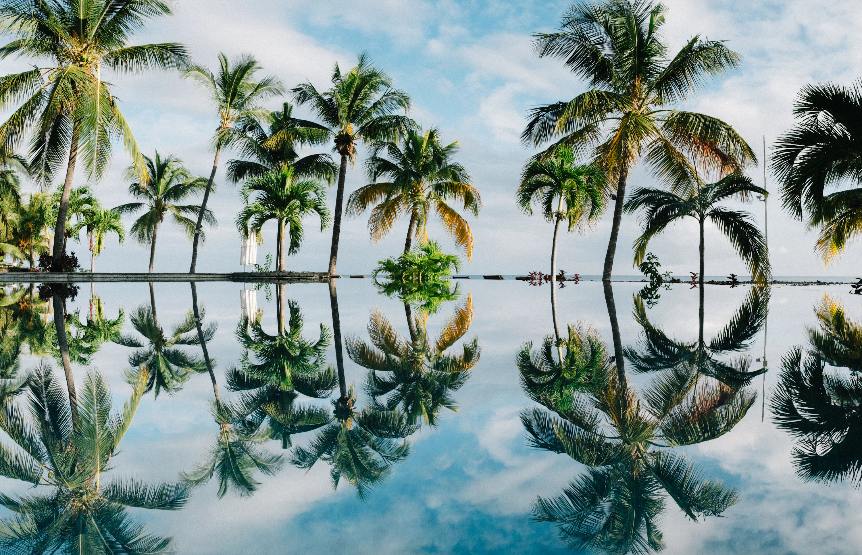 4K Wallpaper: Free HD Download [4K]