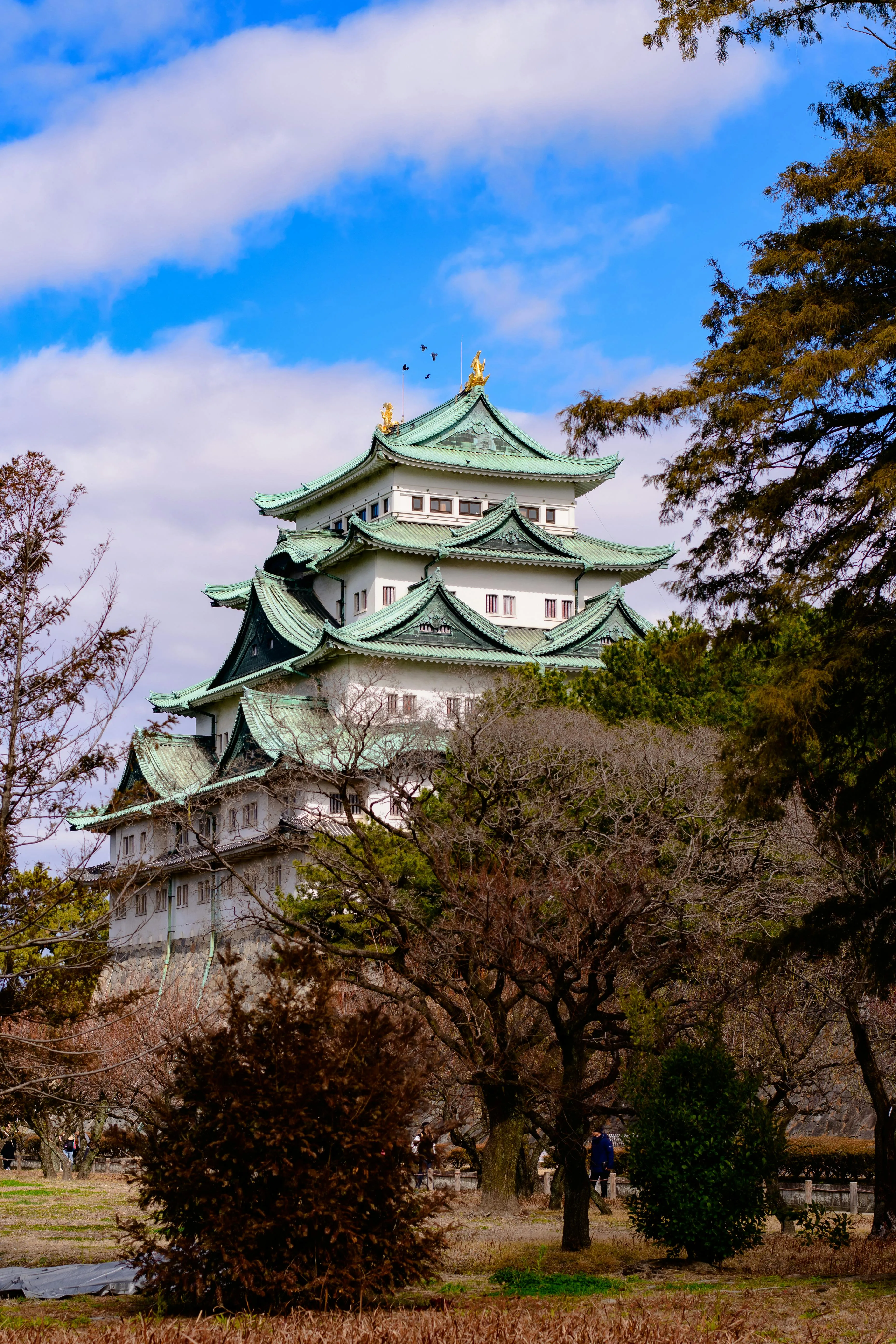 View of the Nagoya Castle, Nagoya, Japan · Free