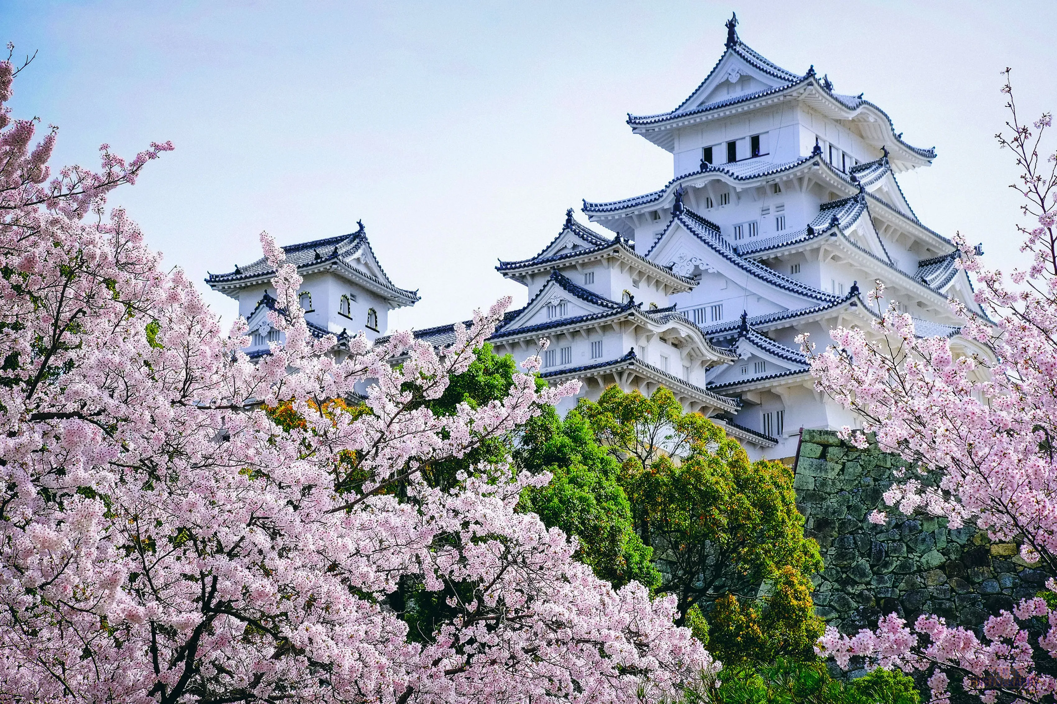Japanese Castle Wallpaper Free High Quality Background
