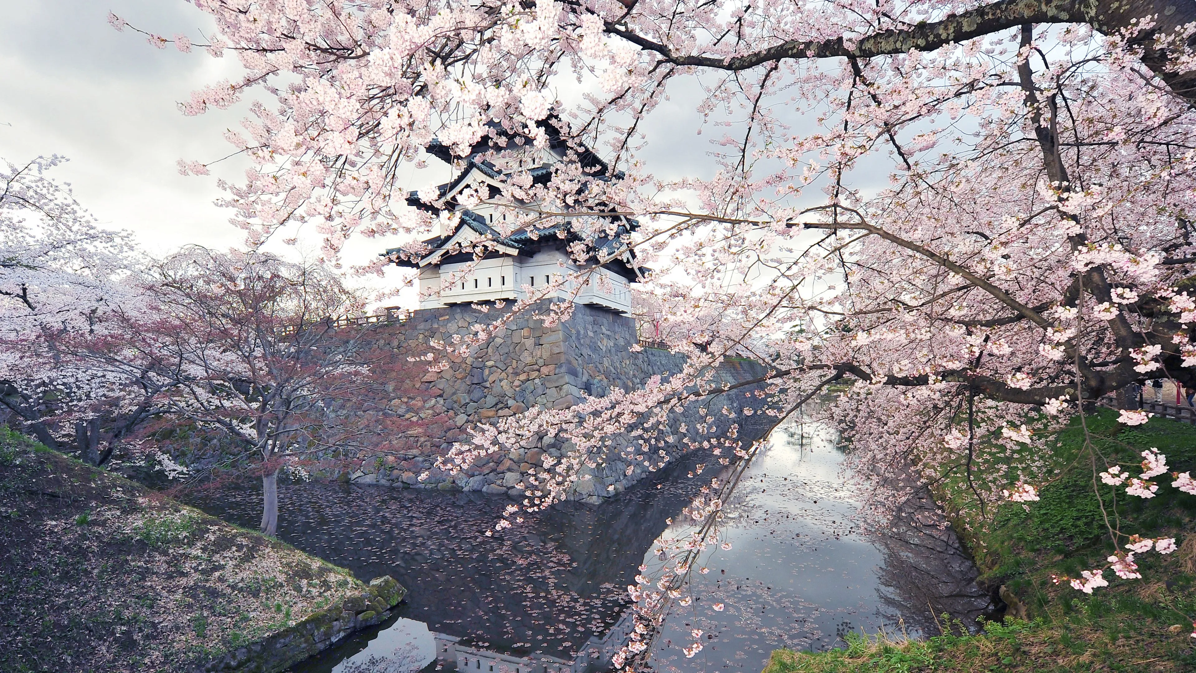 Bing HD Wallpaper Apr 6, 2026: Castle Day Japan wallpaper