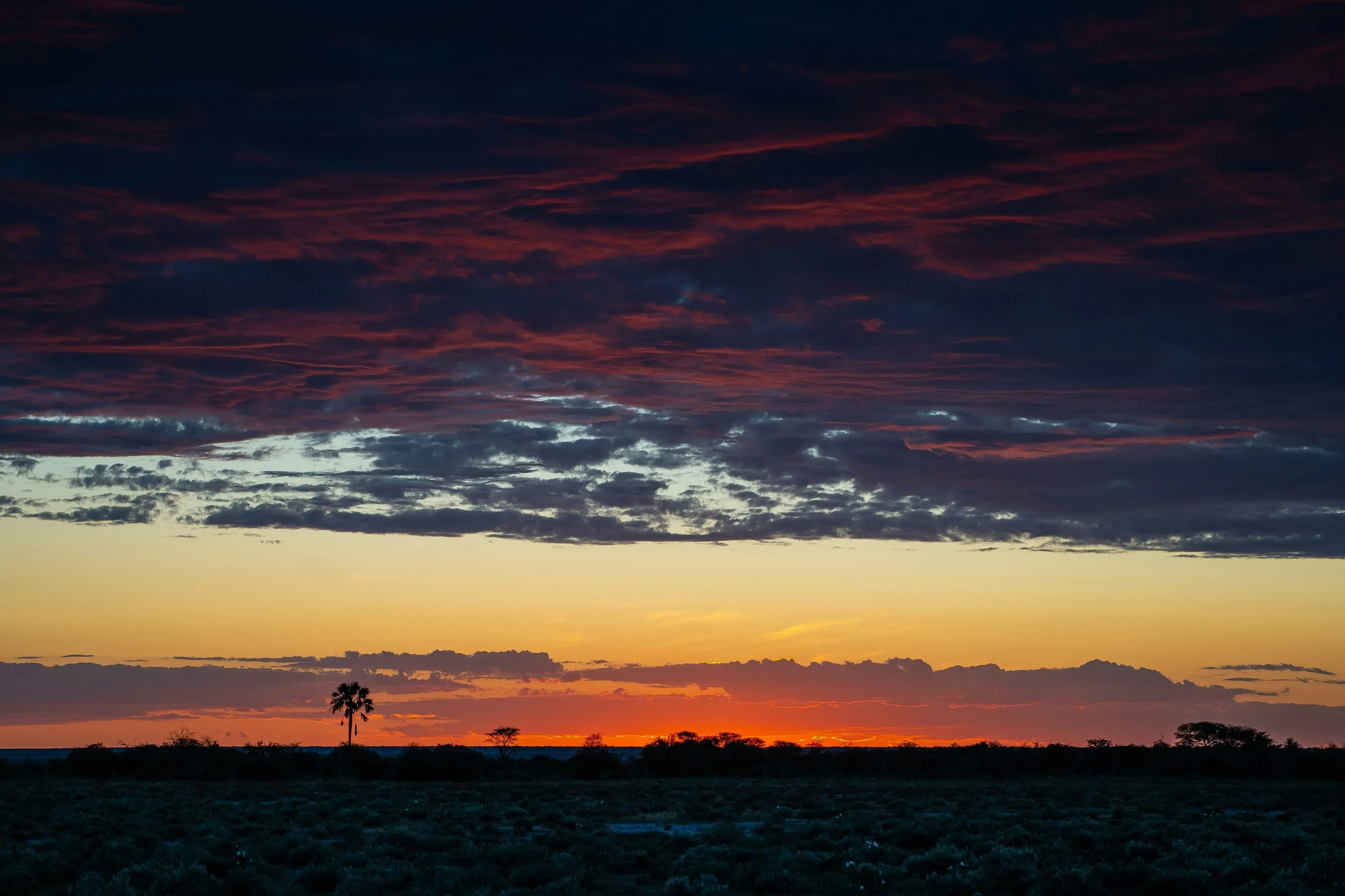 Colorful African Sunset