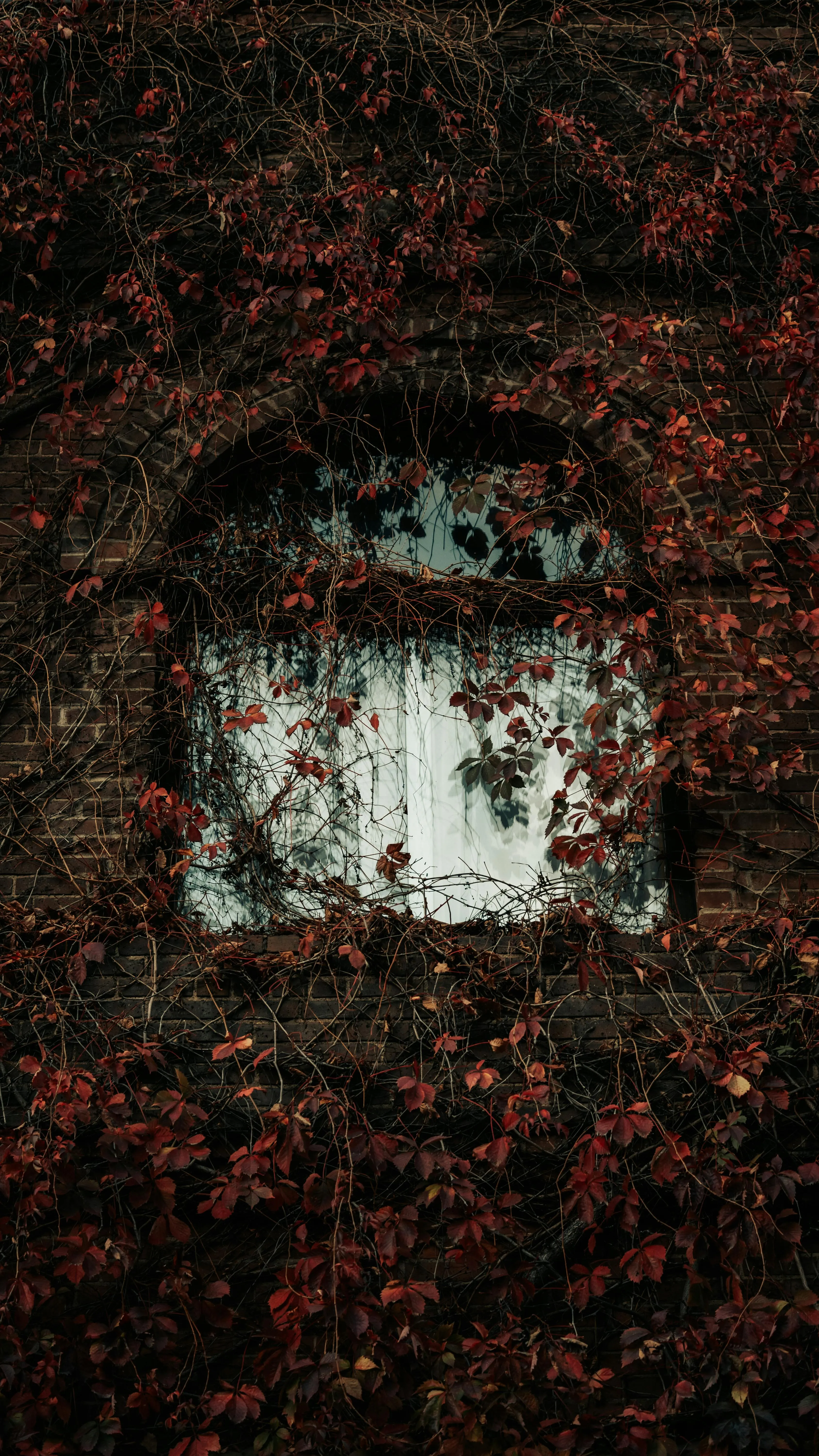 4k Wallpaper Dark Aesthetic Photo, Download The BEST Free 4k Wallpaper Dark Aesthetic & HD Image