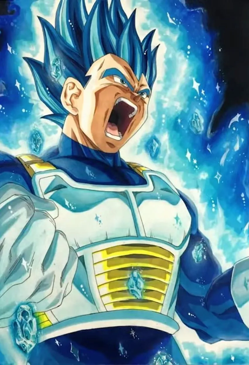 Vegeta Super Saiyan God Evolution, Super Saiyan Blue Evolution HD phone wallpaper