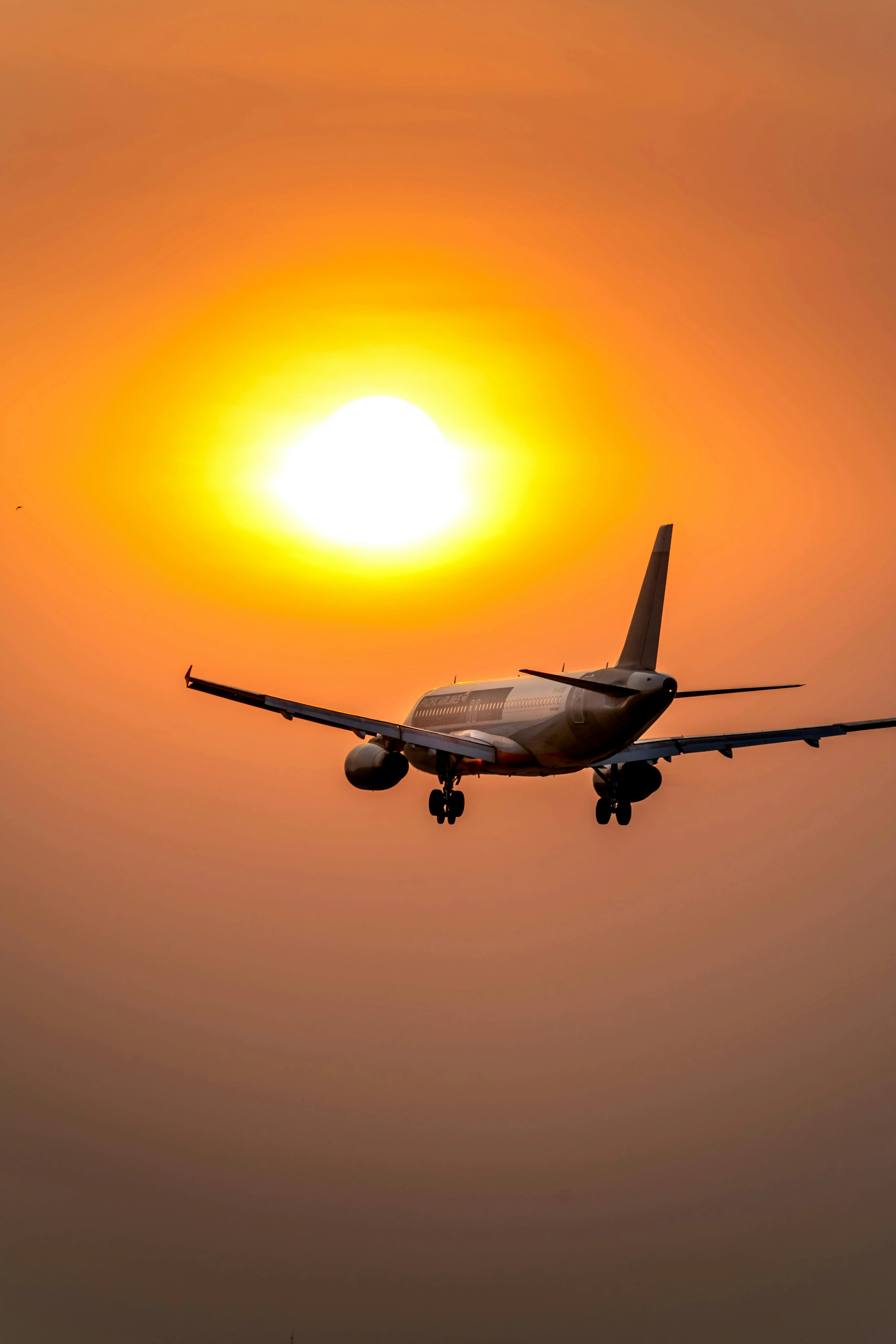An Airplane Flying Under Golden Sky · Free