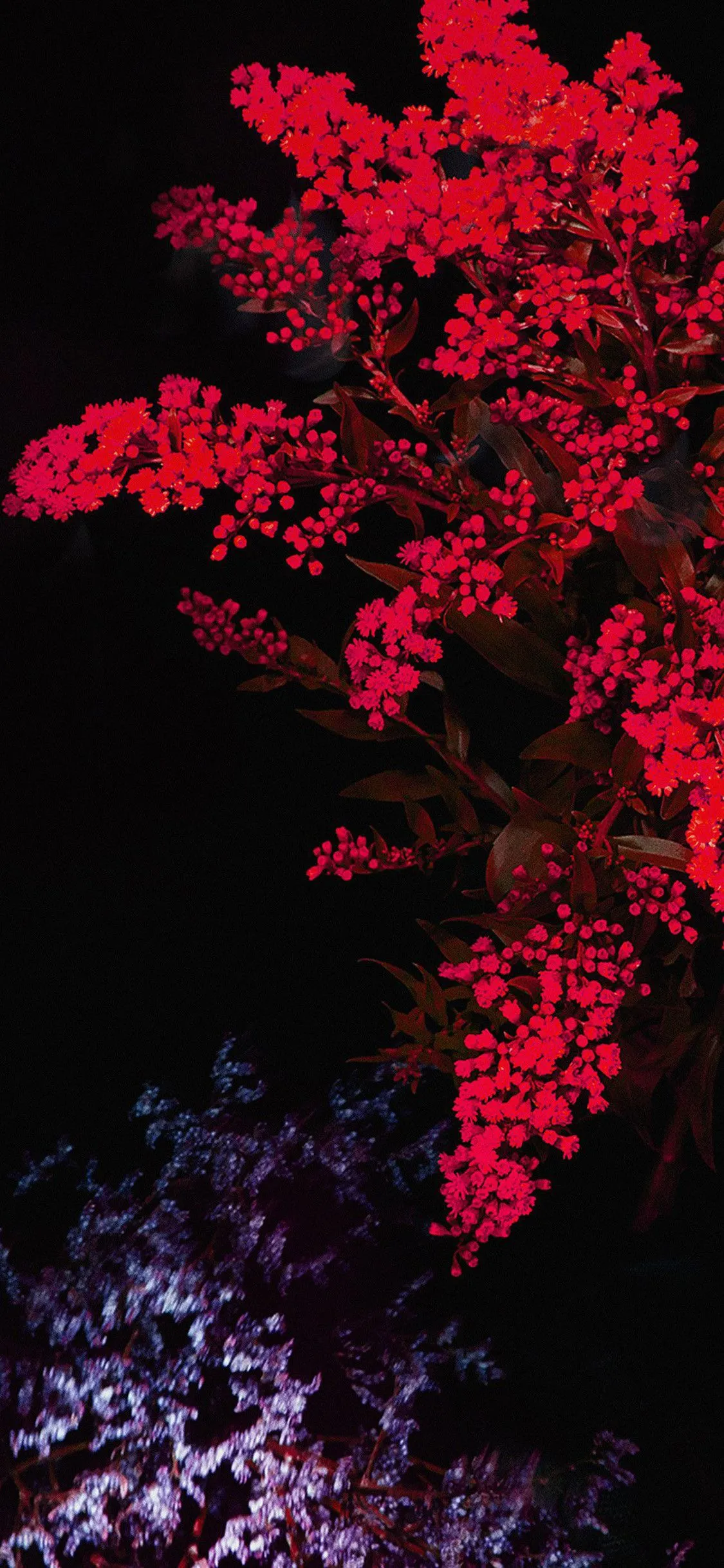 Cool Red Wallpaper