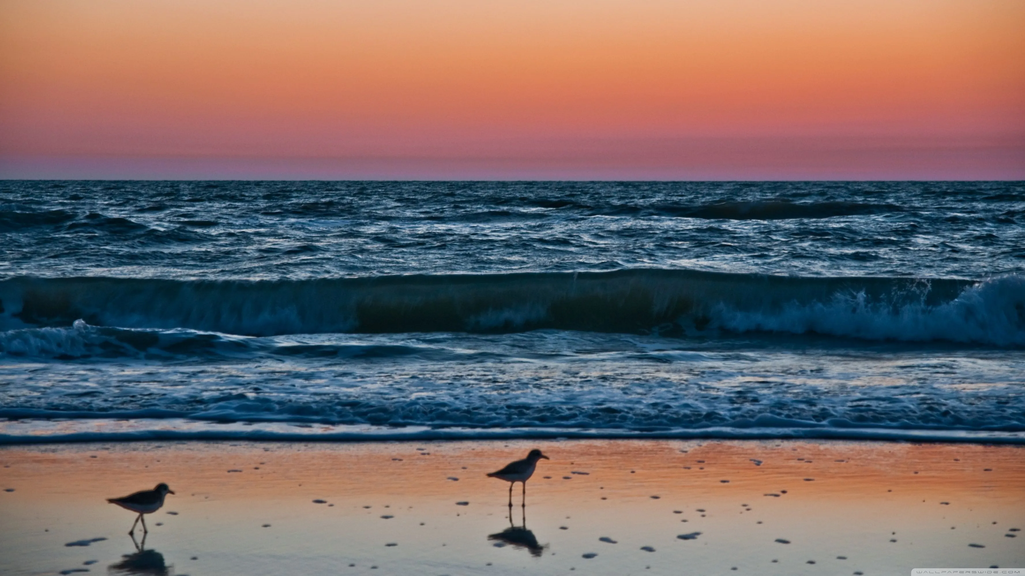Sunset In Naples, Florida 4K UHD Wallpaper for UltraHD Desktop and TV, Widescreen and UltraWide Display, Dual Monitor, Smartphone and Tablet Devices