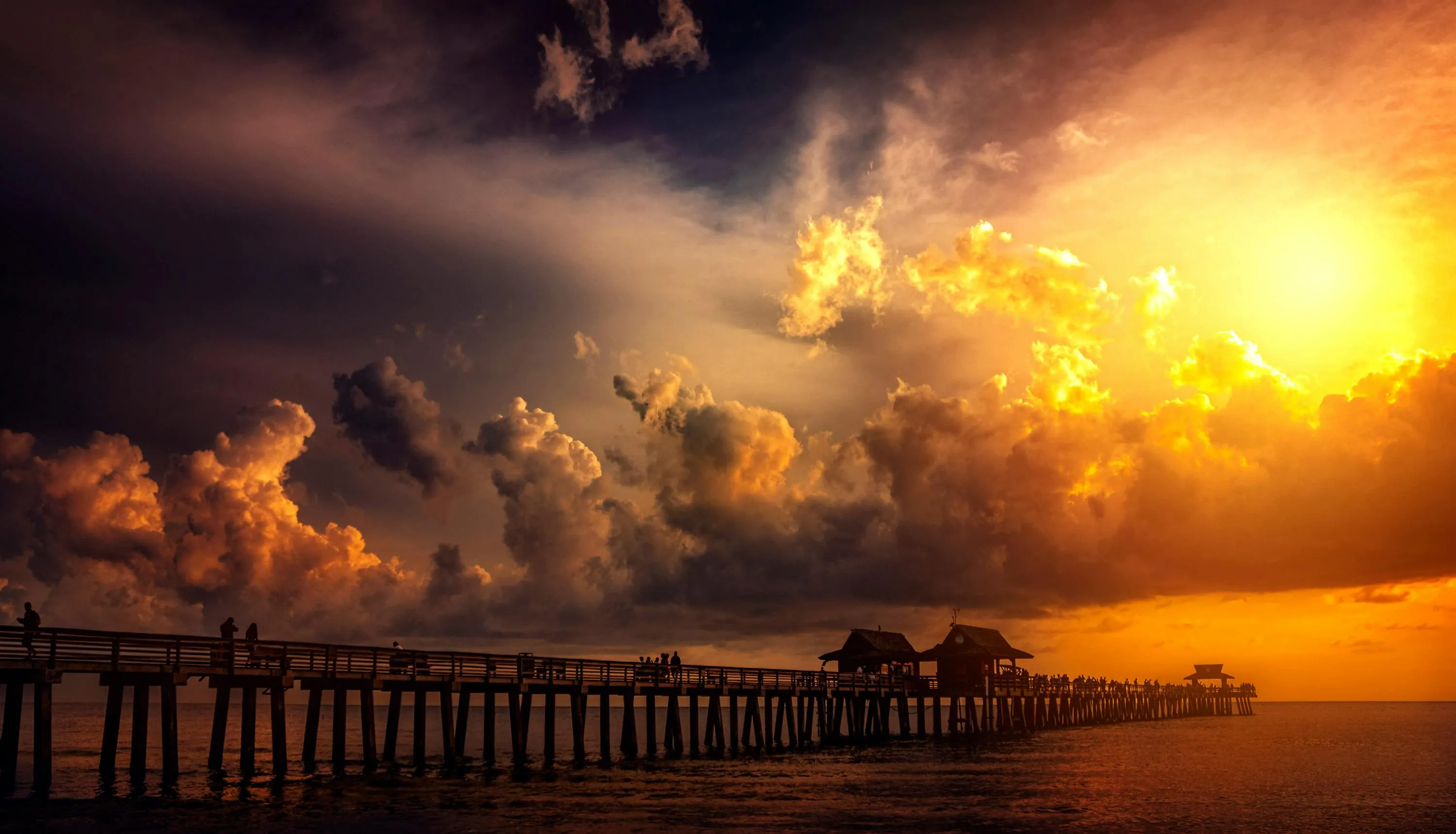 Naples Florida Photo, Download The BEST Free Naples Florida & HD Image