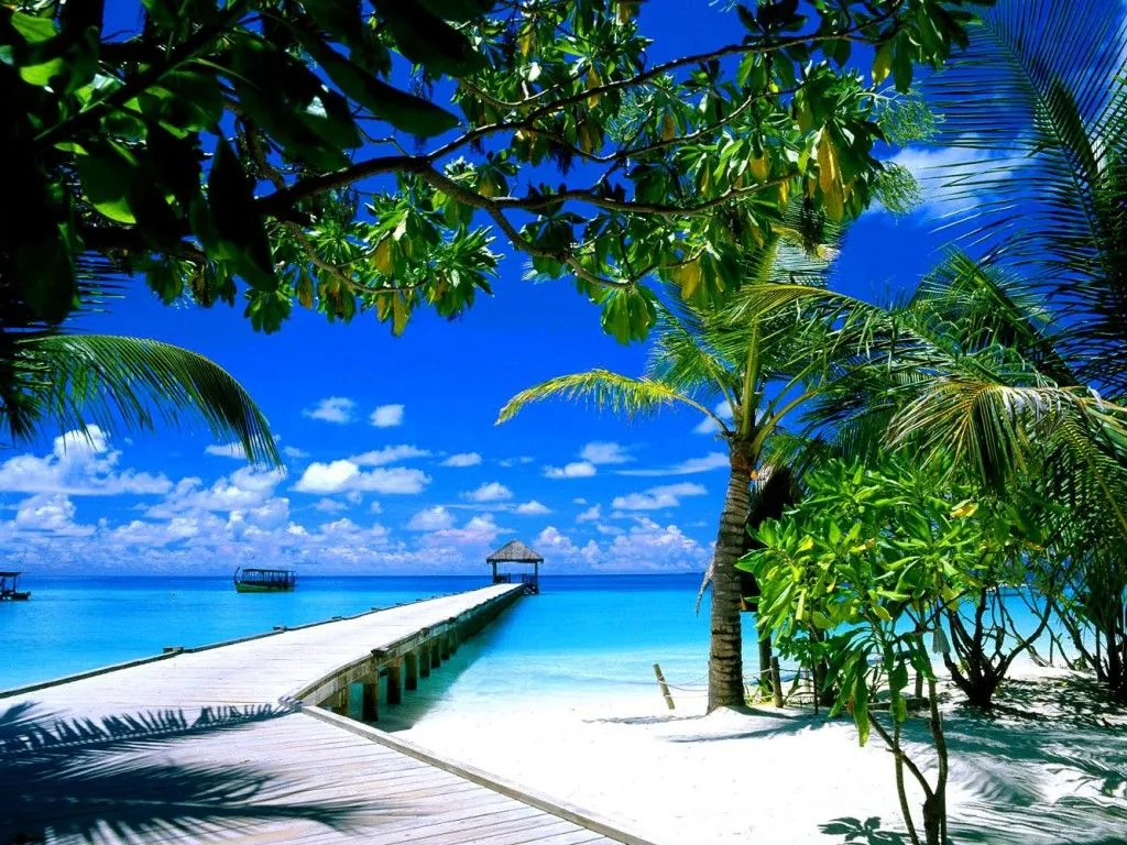 Florida Beach Wallpaper. HD Wallpaper Definition Wallpaper