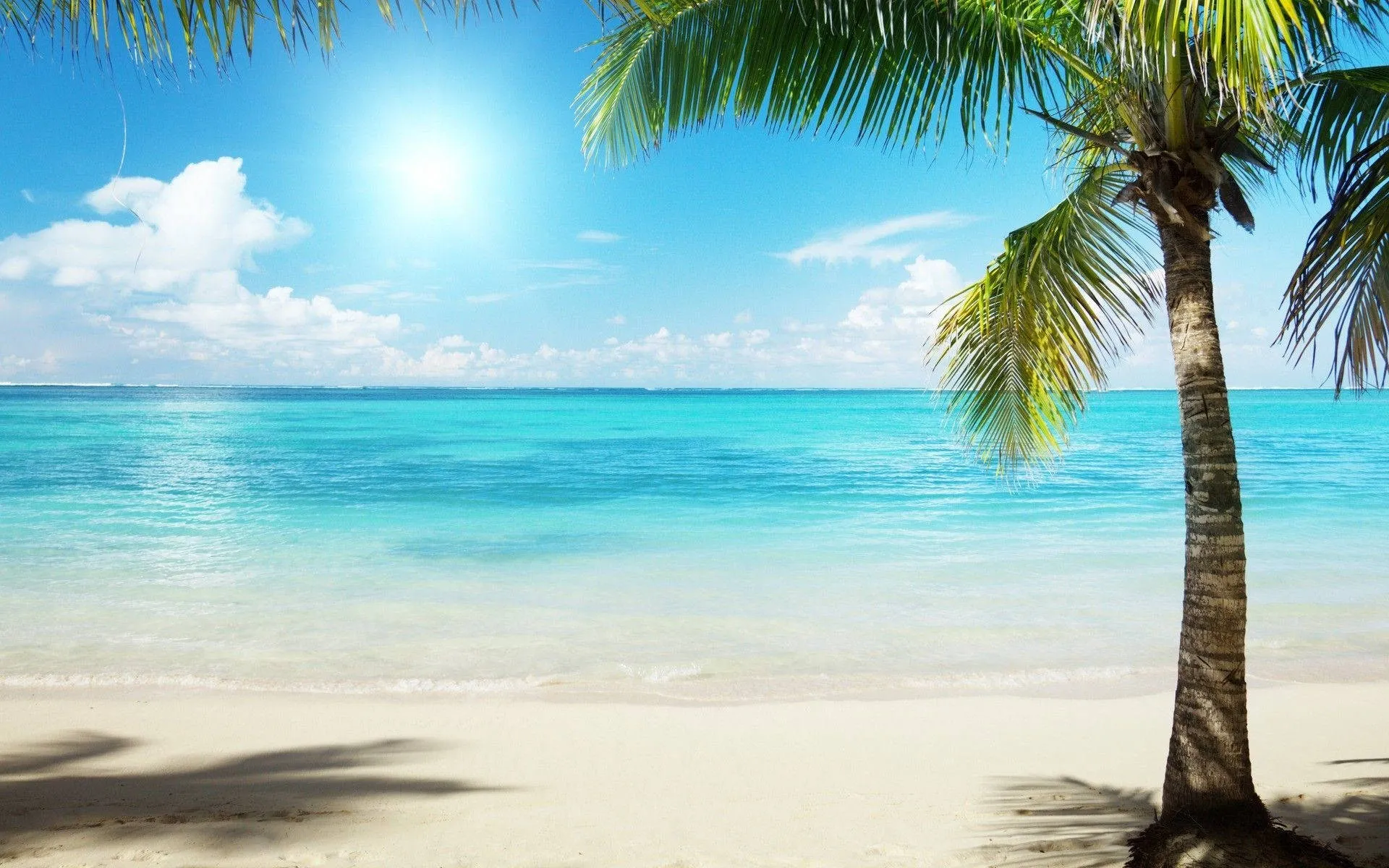 Download Florida Beach Scenic Tropical Island Wallpaper