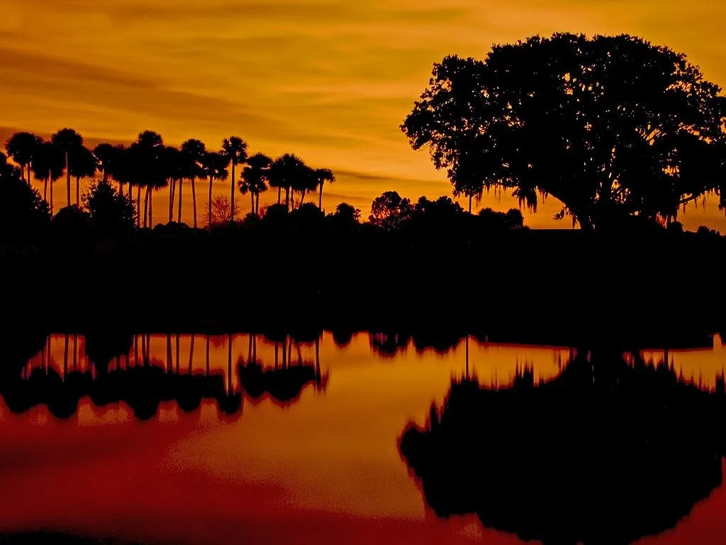 fall desktop background. Florida on my Mind