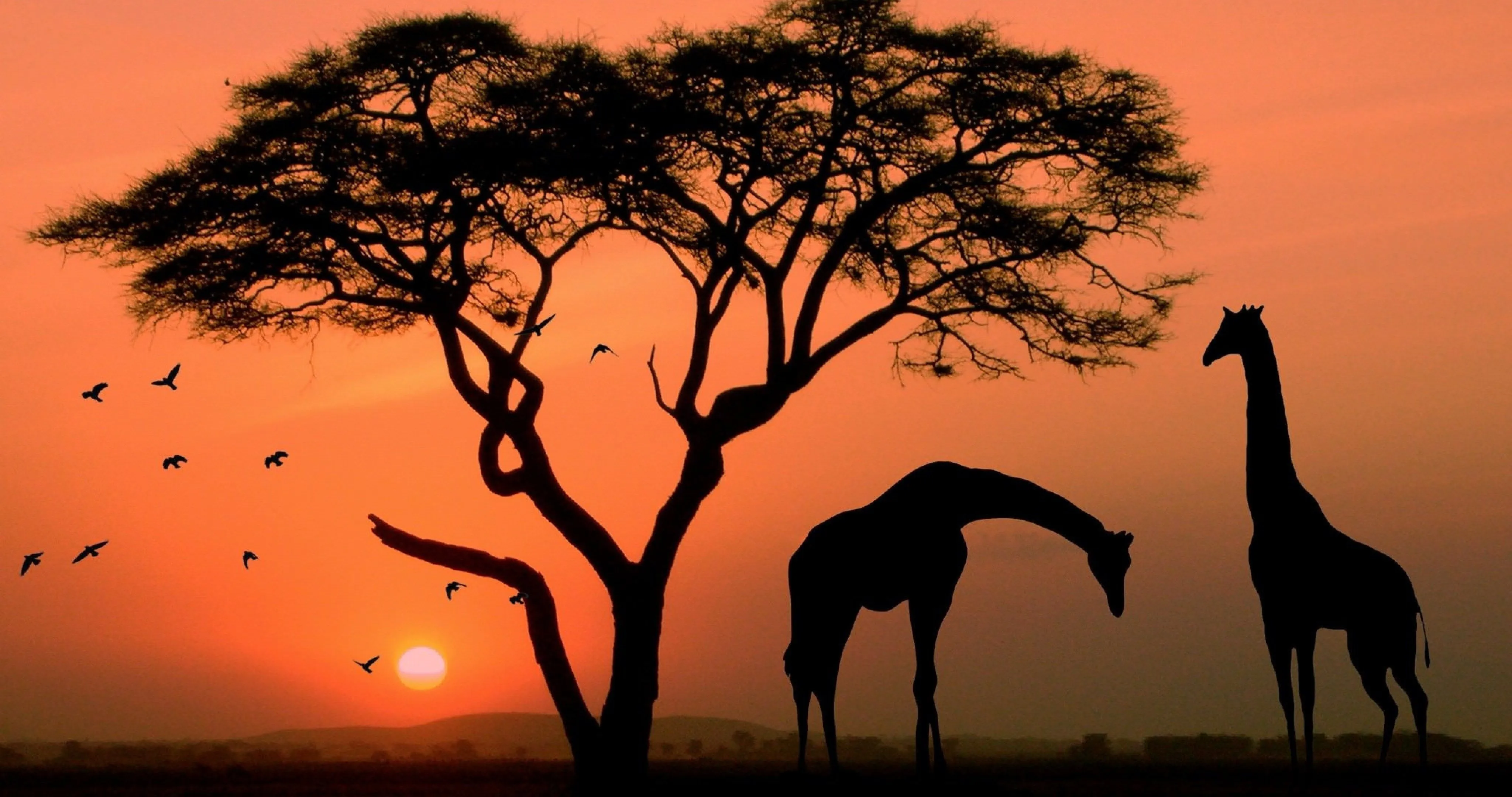 Africa Culture Wallpaper, HD Background on WallpaperBat