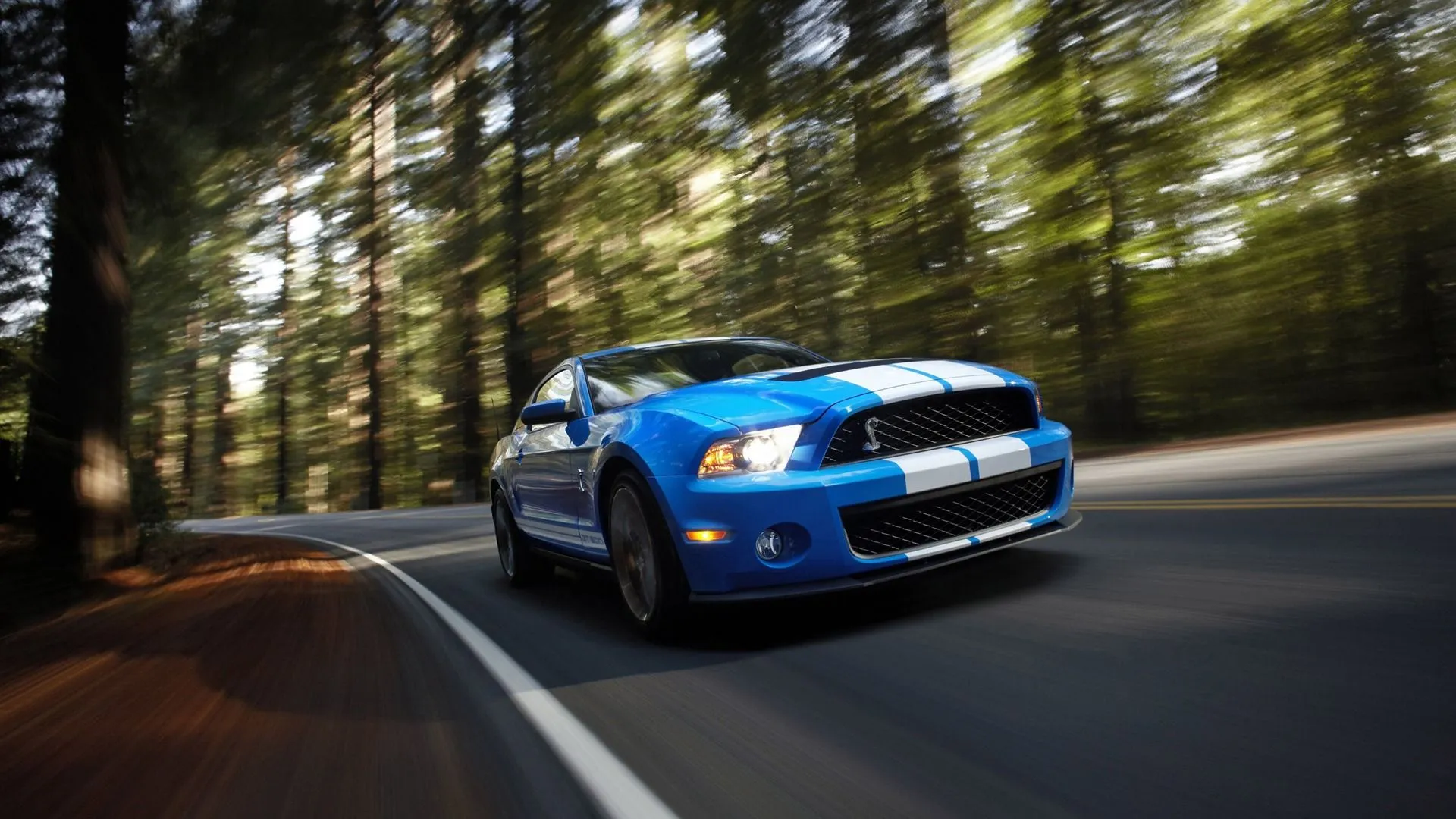 Ford Shelby GT500 Cool Cars Desktop Wallpaper Selection
