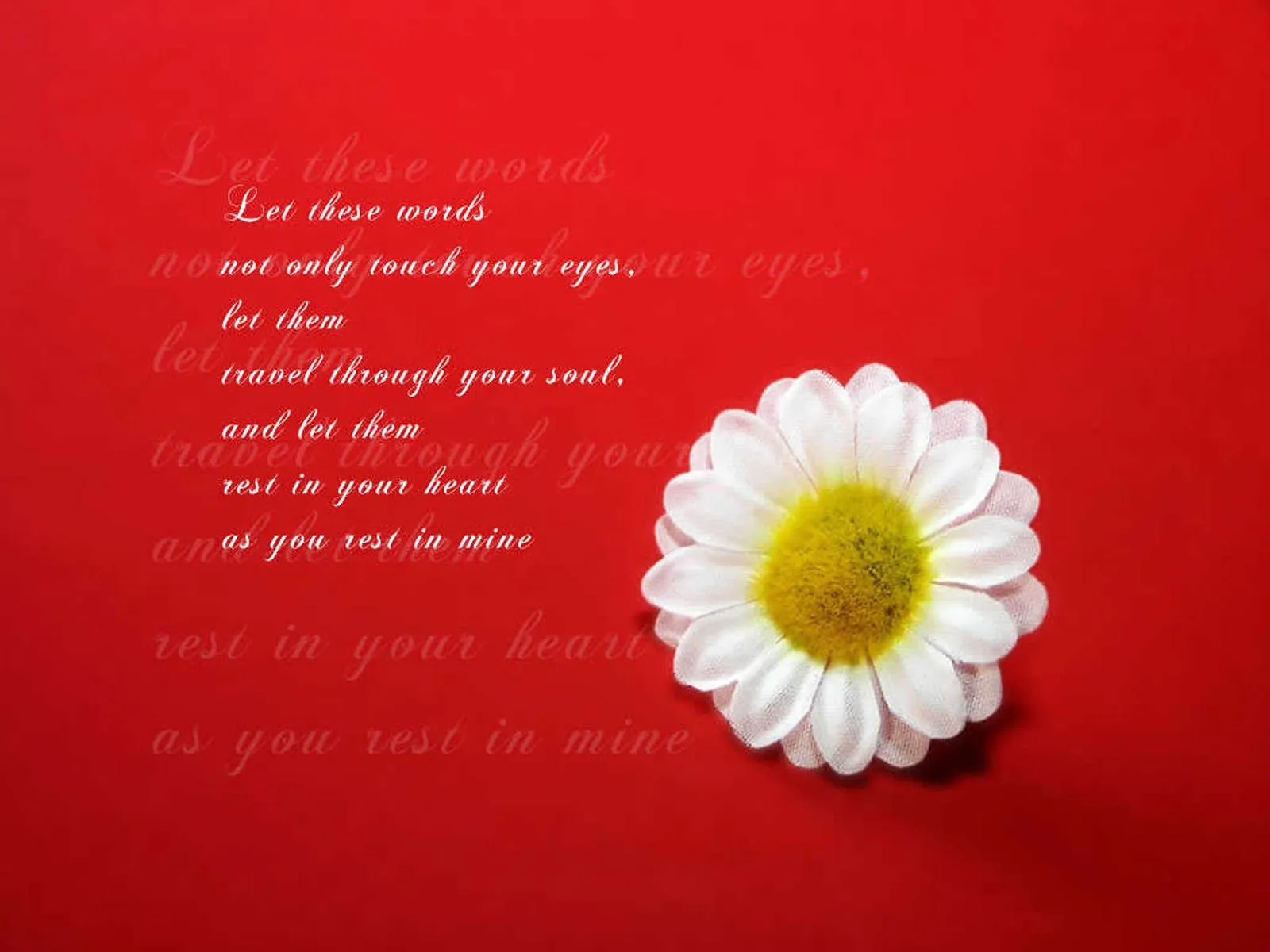 Love Quote Desktop Background, High Definition, High Quality, Widescreen