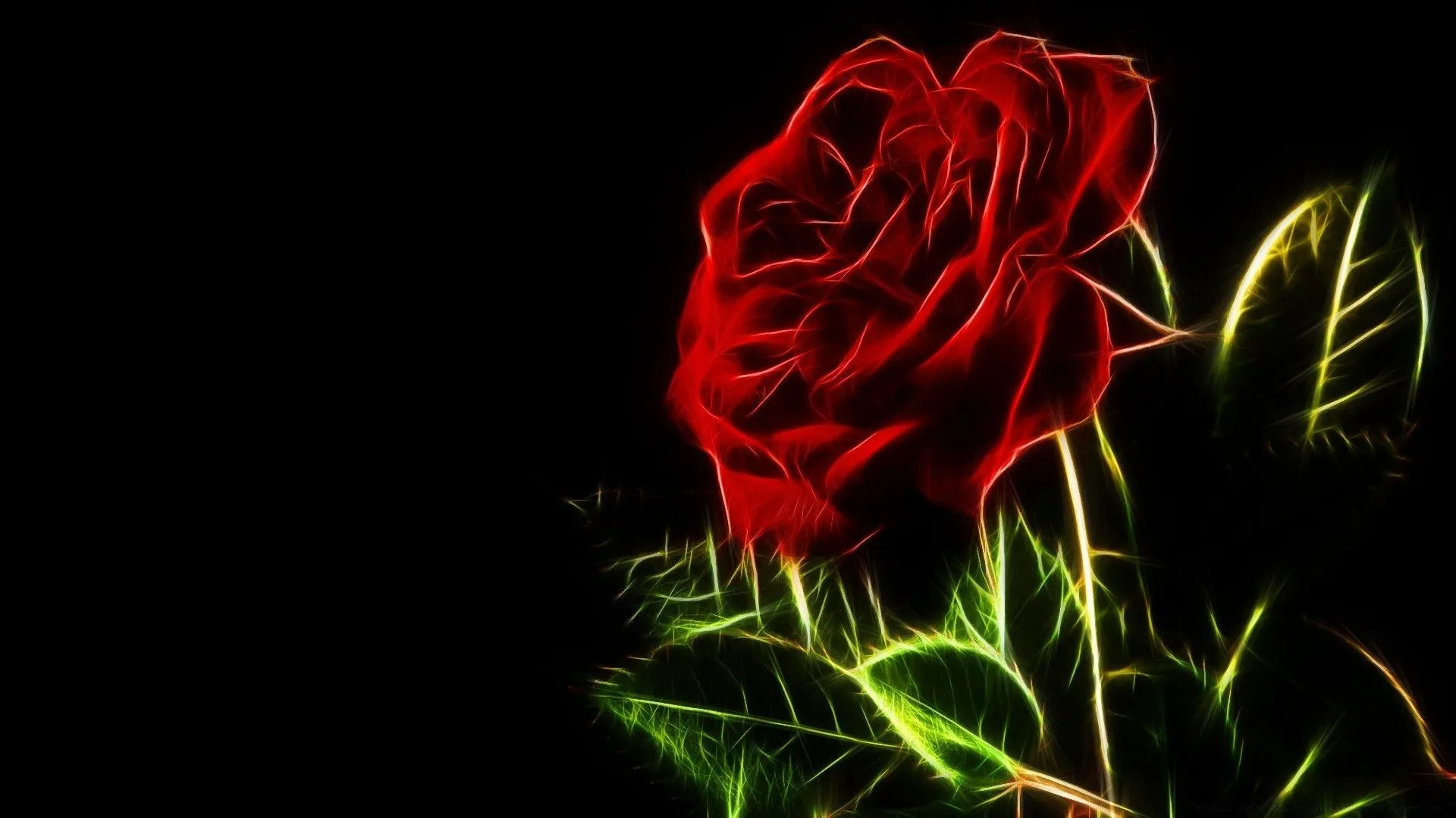 Neon rose on a black background