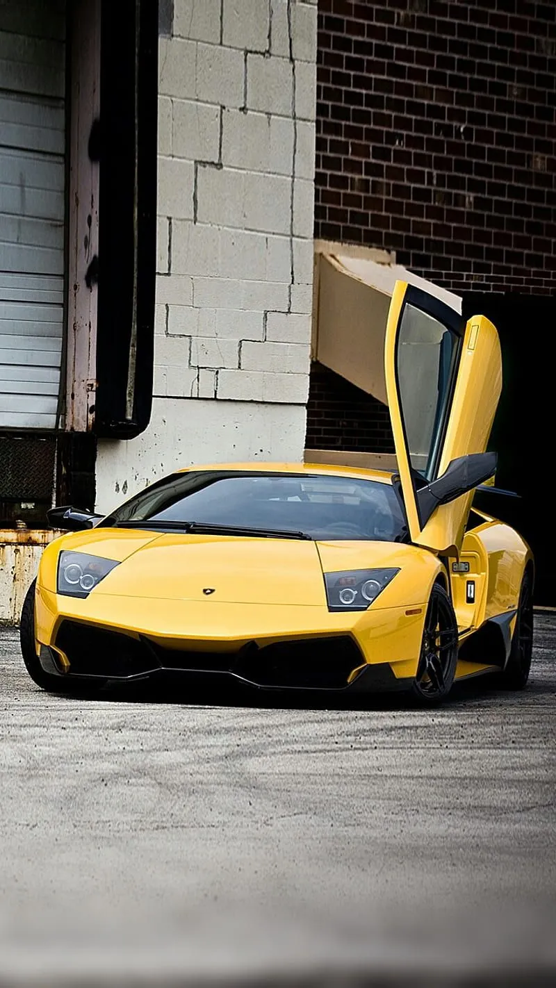 Murcielago, lamborghini, supercar, HD phone wallpaper