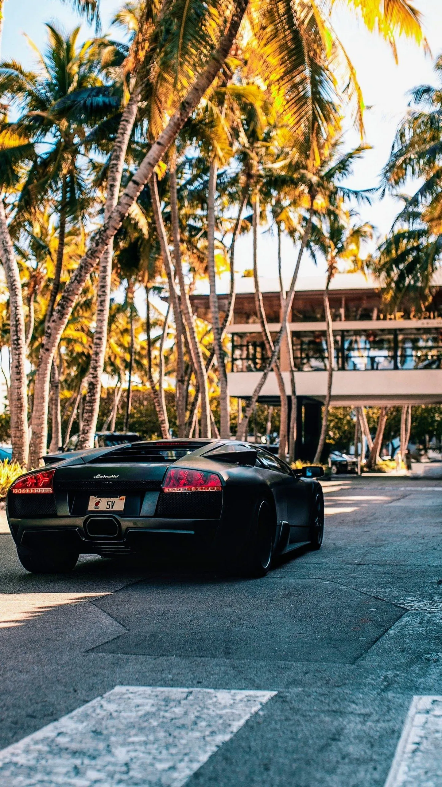 Download Lamborghini Murcielago Vehicle Phone Wallpaper