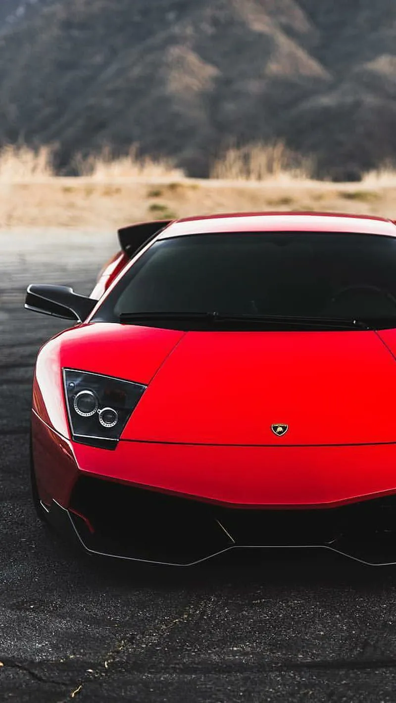 Red Murcielago, lamborghini, murcielago, red, car, hypercar, supercar, sports, HD phone wallpaper