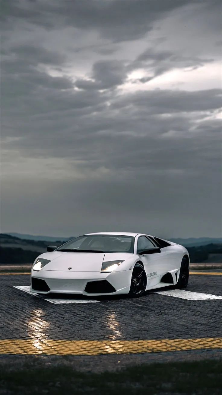 Murcielago Versace