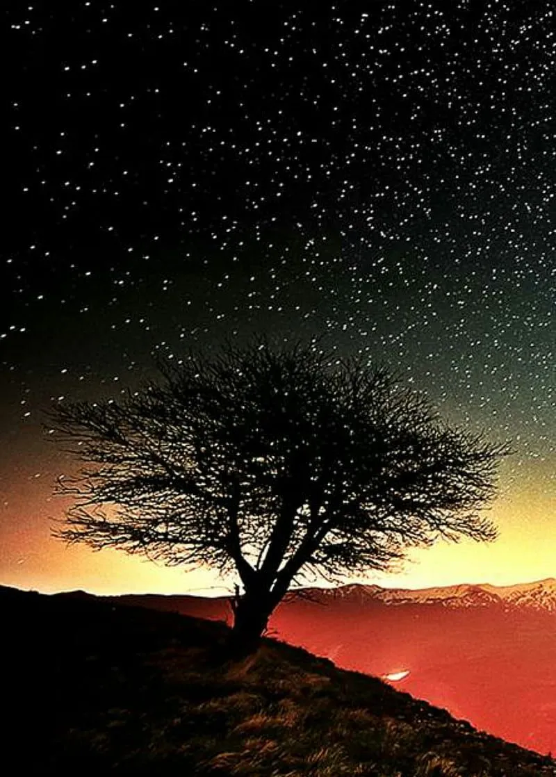 Shining star iPhone, landscape, sky, night, nebula, nebulae, stars, HD phone wallpaper
