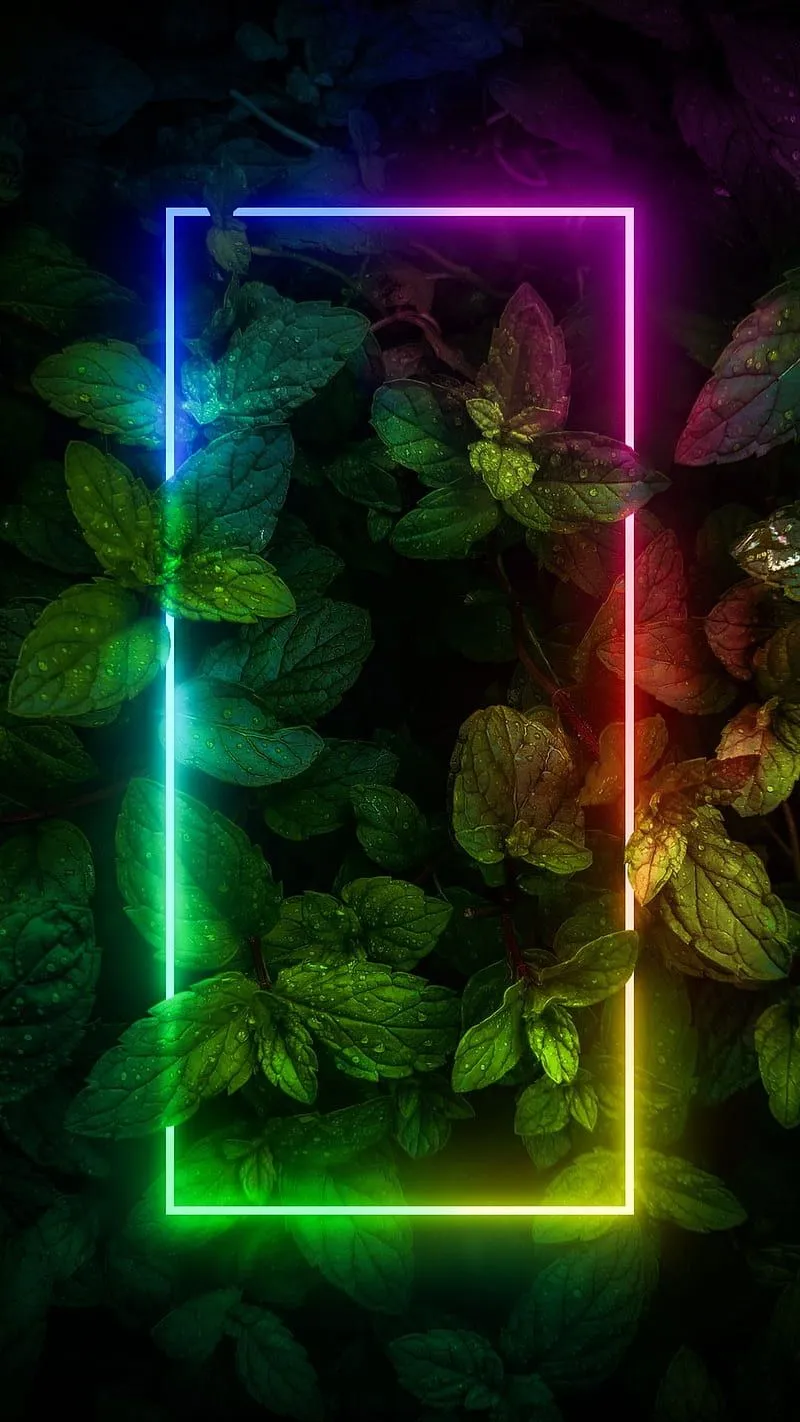 Neon Mobile Wallpaper, HD Background on WallpaperBat