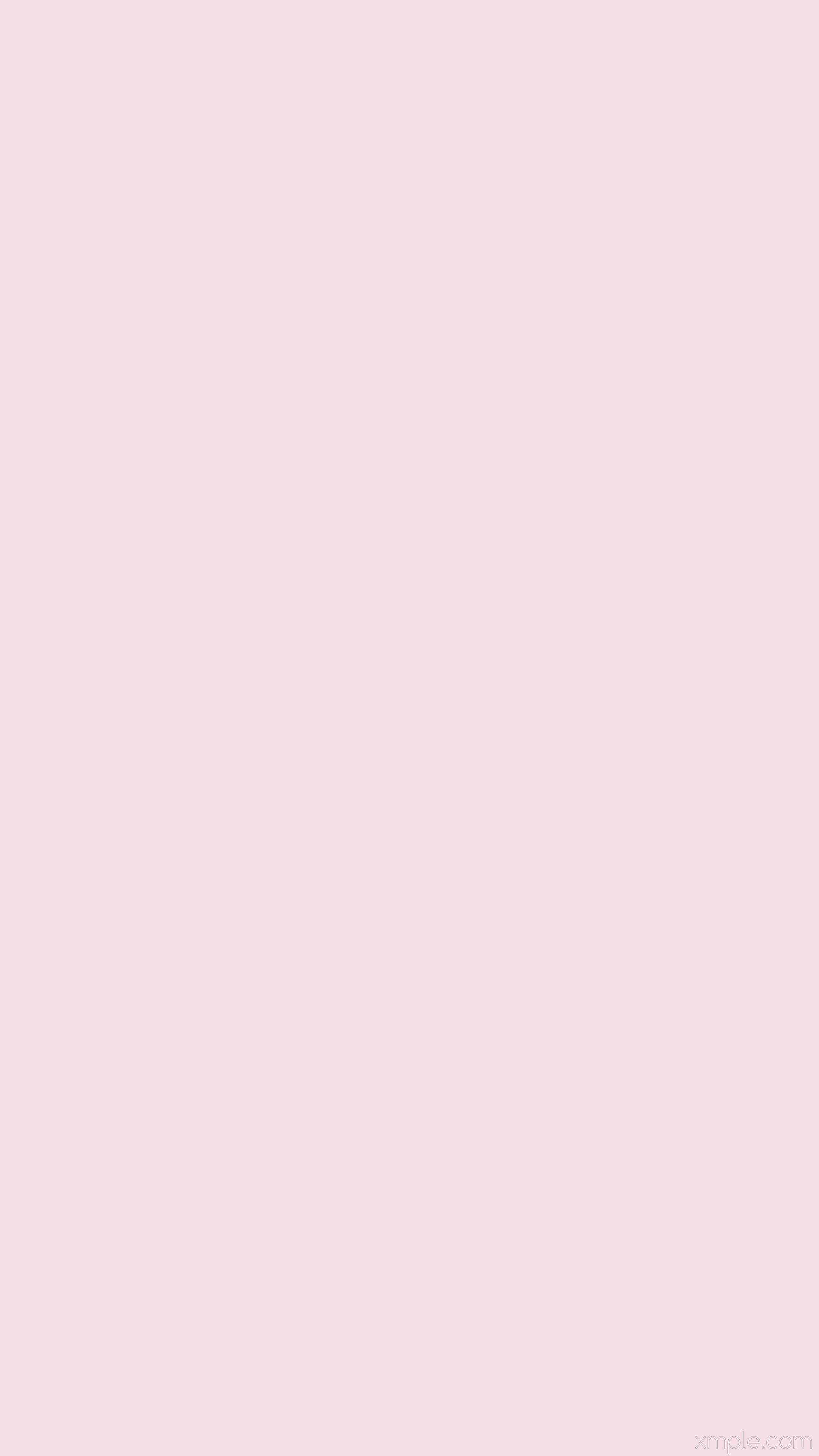 Pink one colour single solid color plain wallpaper 4K HD